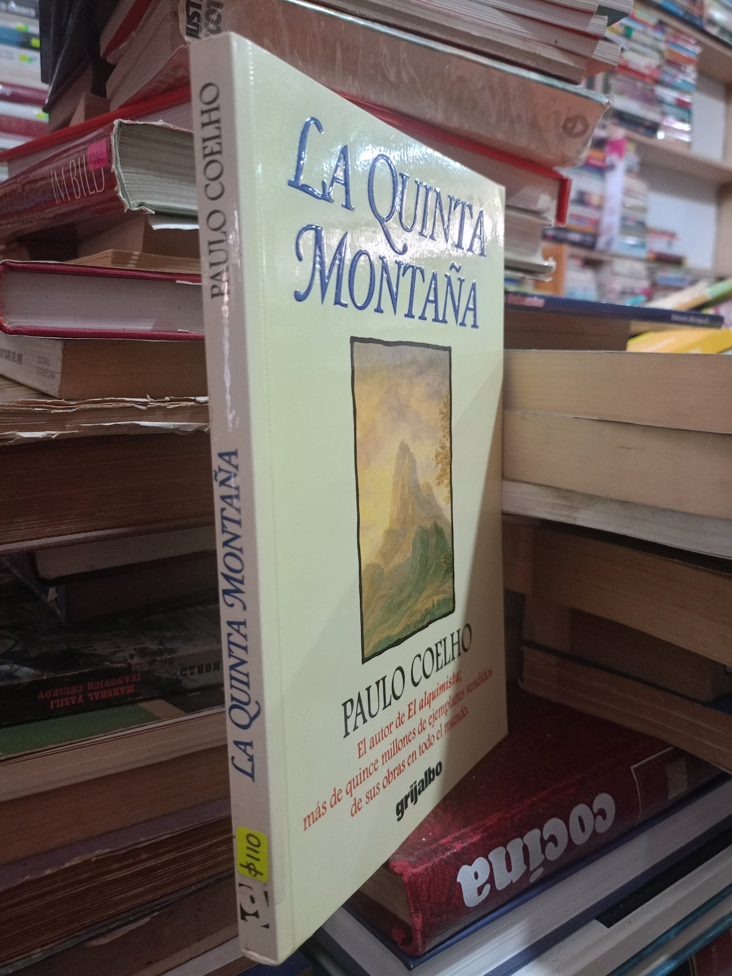 LA QUINTA MONTAÑA POR EMILIO COELHO USADO SUPERACIÓN PERSONAL ALDAMA
