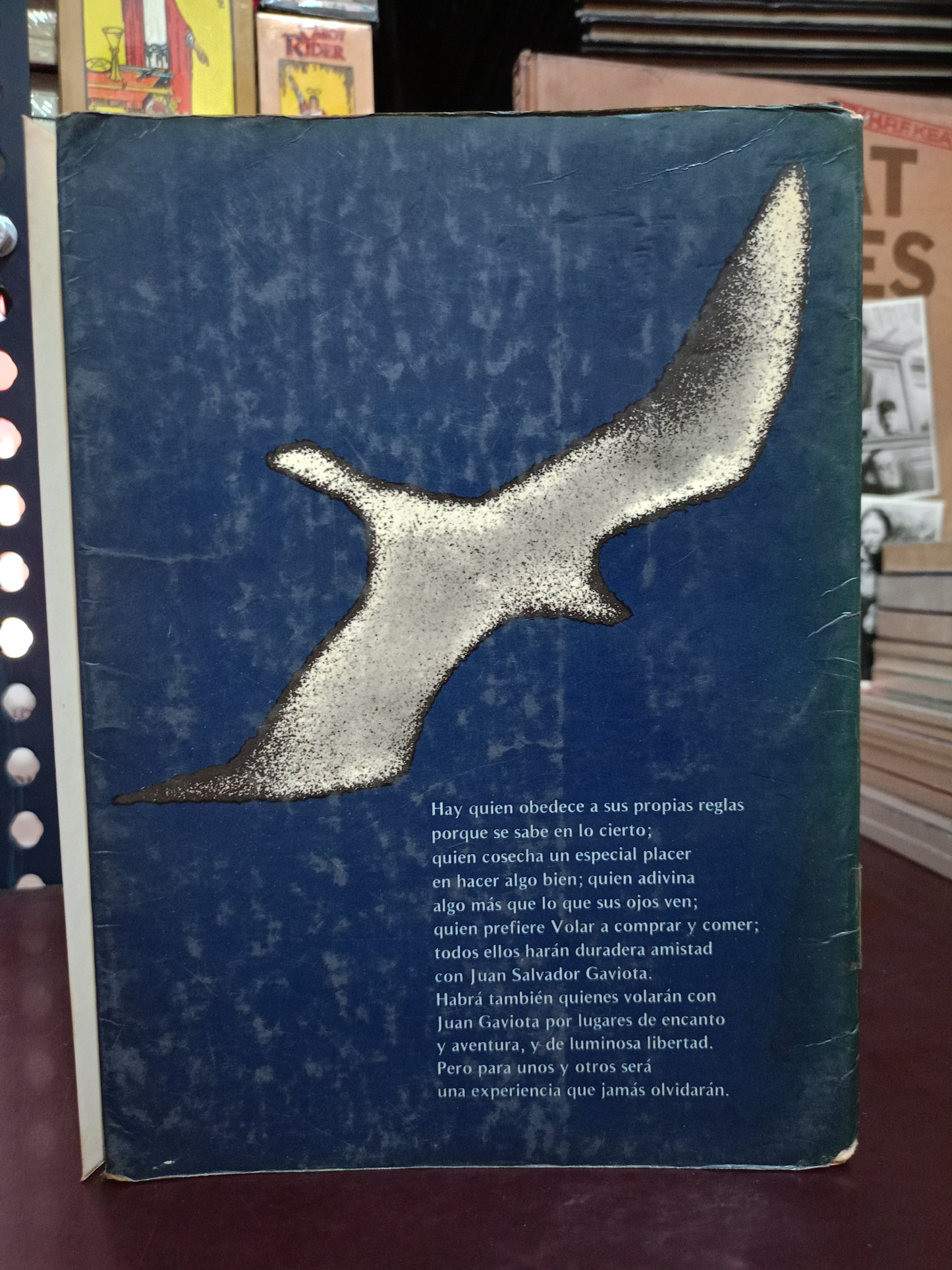 JUAN SALVADOR GAVIOTA UN RELATO POR RICHARD BACH USADO SUPERACIÓN PERSONAL LITERARIO 305