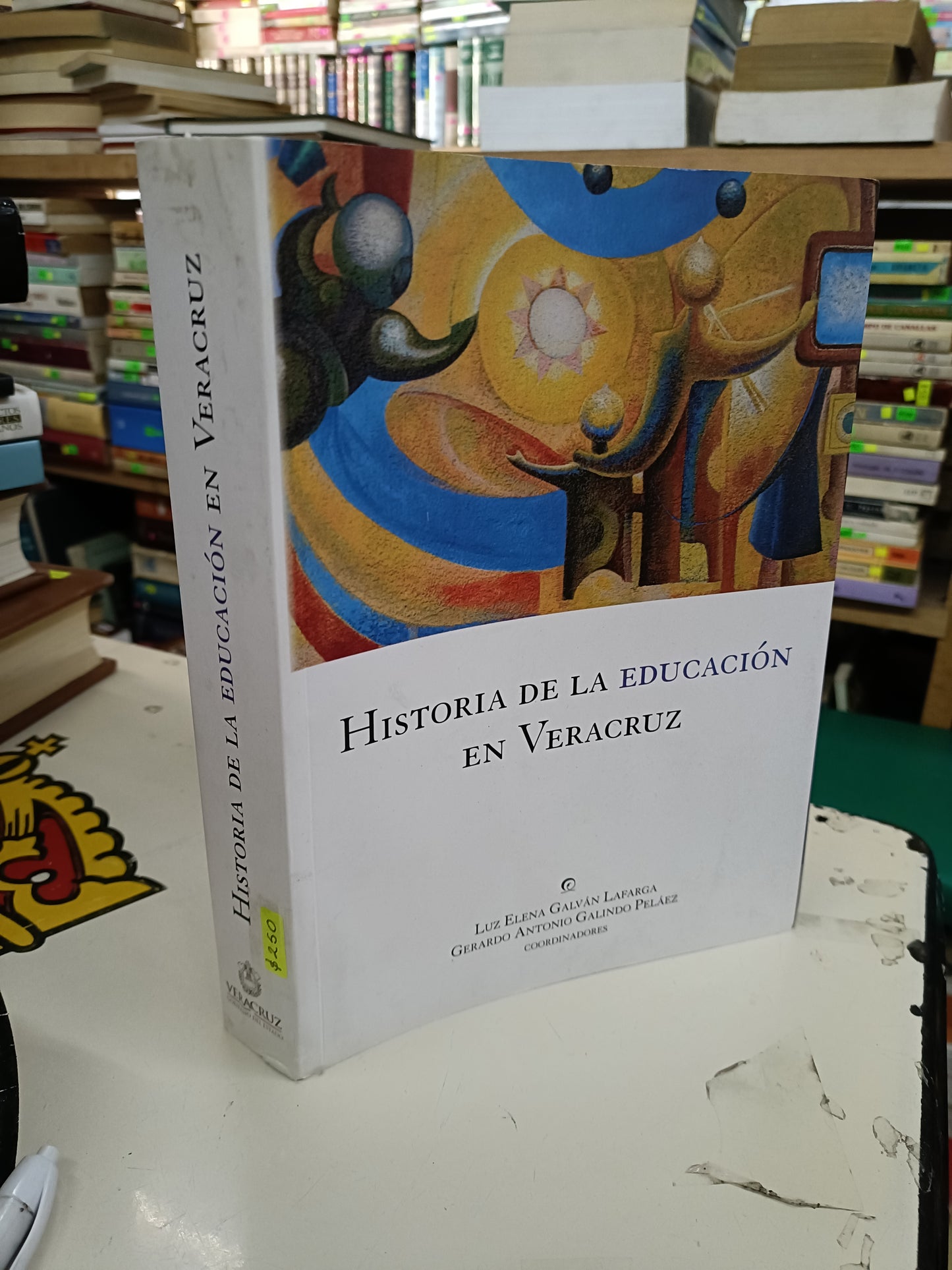 HISTORIA DE LA EDUCACIÓN EN VERACRUZ COORDINADO POR LUZ ELENA GALVAN LAFARGA Y GERARDO ANTONIO GALINDO PELÁEZ USADO HISTORIA LITERARIO 207