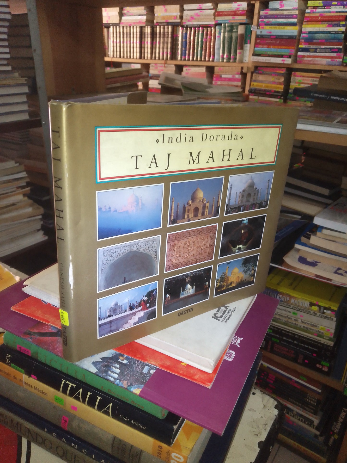 TAJ MAHAL POR GANESH SAILI USADO TURISMO LITERARIO 207