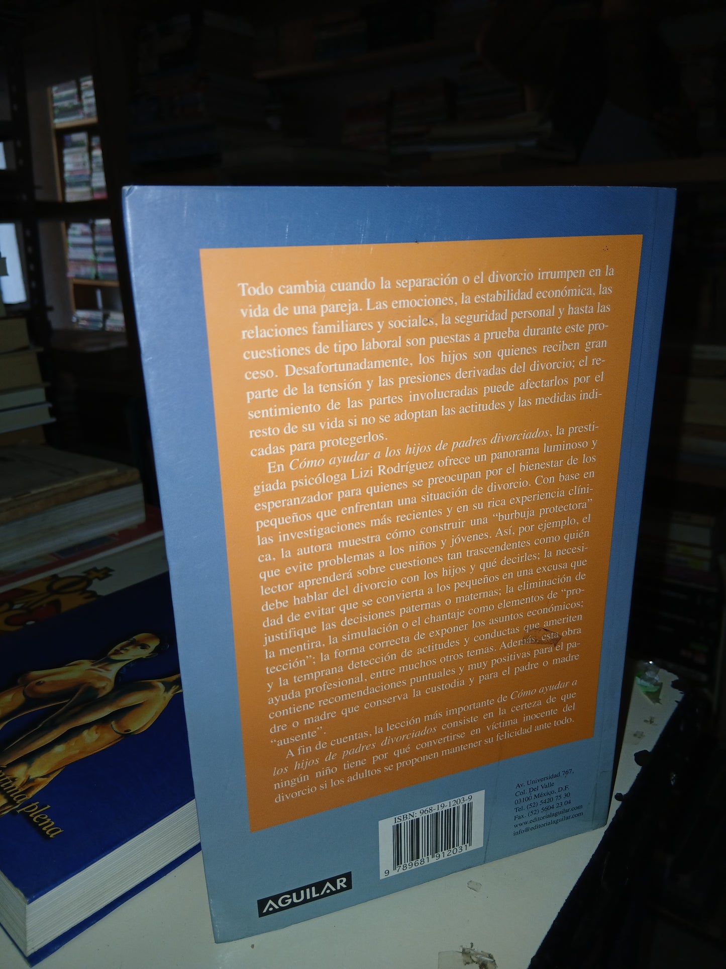 CÓMO AYUDAR A LOS HIJOS DE PADRES DIVORCIADOS POR LIZI RODRÍGUEZ USADO SUPERACIÓN PERSONAL LITERARIO 207