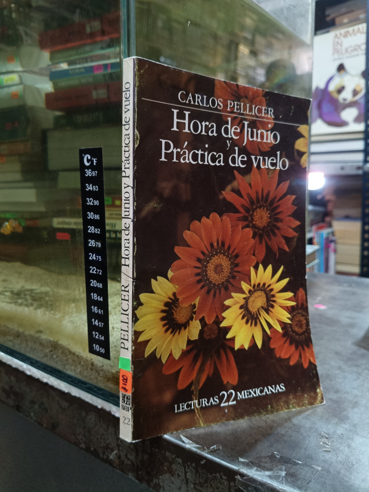 HORA DE JUNIO Y PRACTICA DE VUELO POR CARLOS PELLICER USADO NOVELA ALDAMA