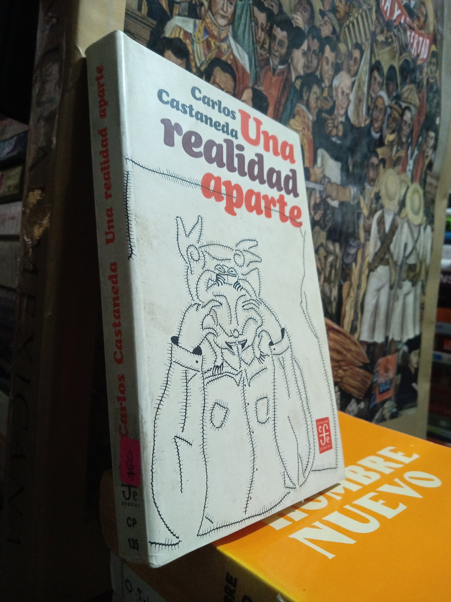 UNA REALIDAD APARTE POR CARLOS CASTANEDA USADO NOVELA JUAREZ