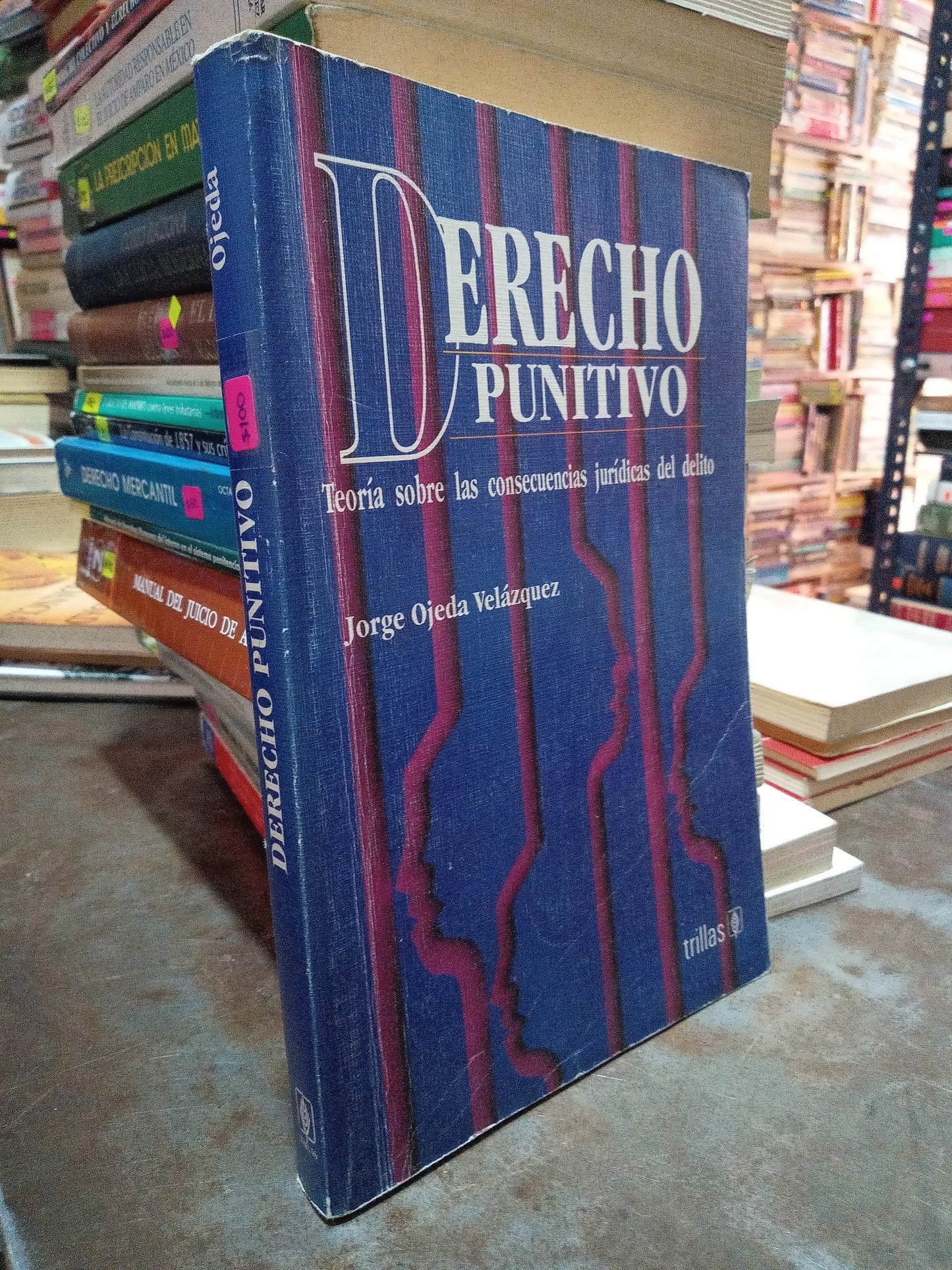 DERECHO PUNITIVO POR JORGE OJEDA VELAZQUEZ USADO DERECHO ALDAMA