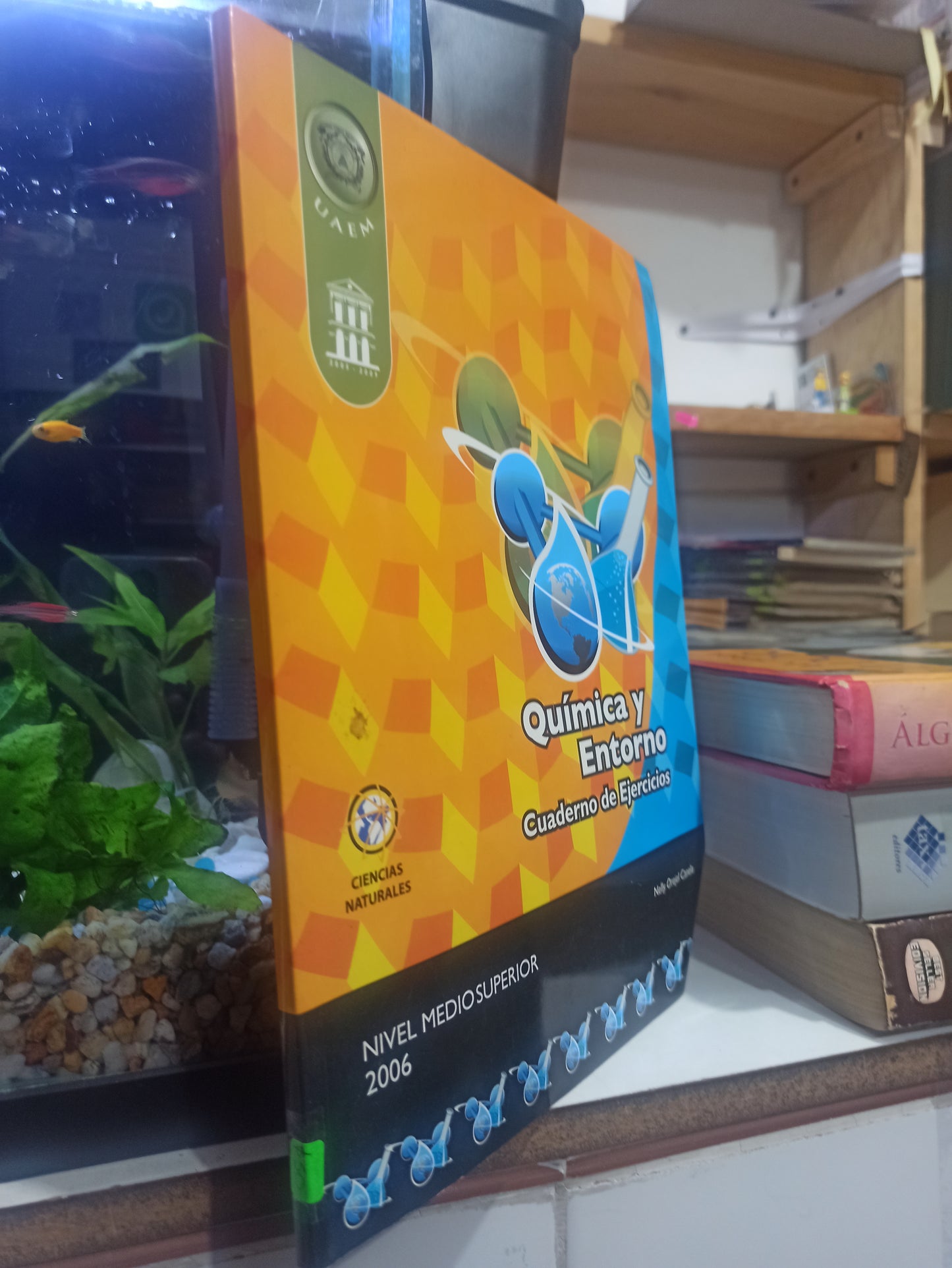 QUIMICA Y ENTORNO POR NELLY OREJEL CANELA USADO QUÍMICA JUÁREZ