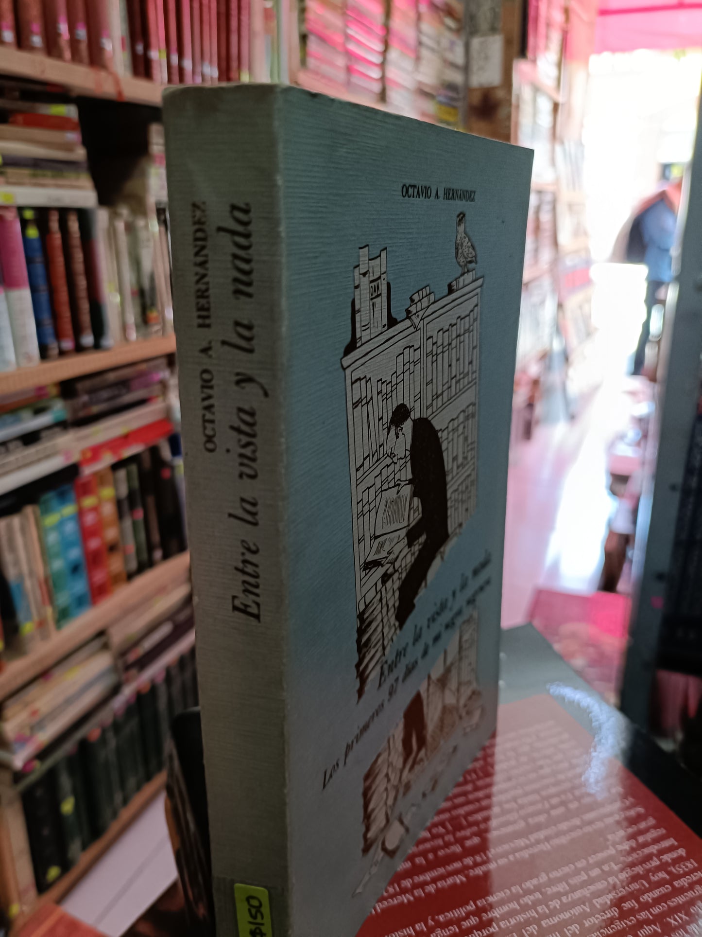 ENTRE LA VISTA Y LA NADA LOS PRIMEROS 97 DIAS DE MI NEGRA NEGRURA USADO NOVELA LITERARIO 305