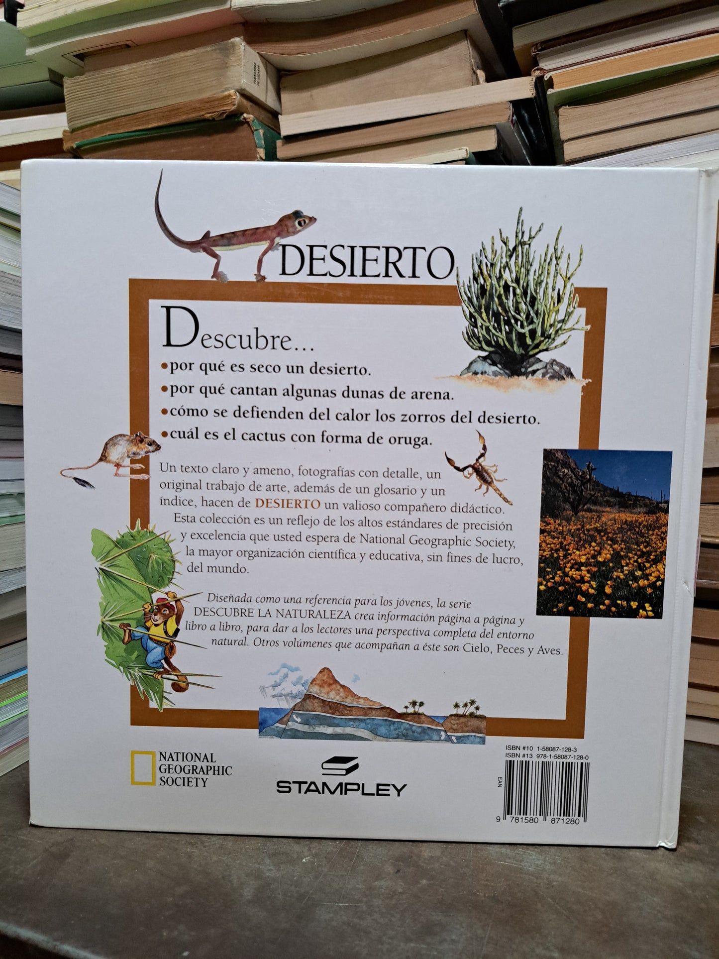 DESCUBRE LA NATURALEZA DESIERTO MARFE FERGUSON DELANO USADO INFANTIL ALDAMA