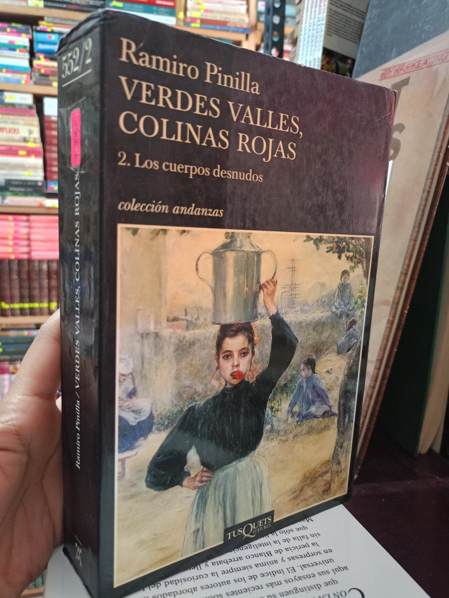 VERDES VALLES COLINAS ROJAS POR RAMIRO PINILLA LIBRO USADO NOVELA LITERARIO 305