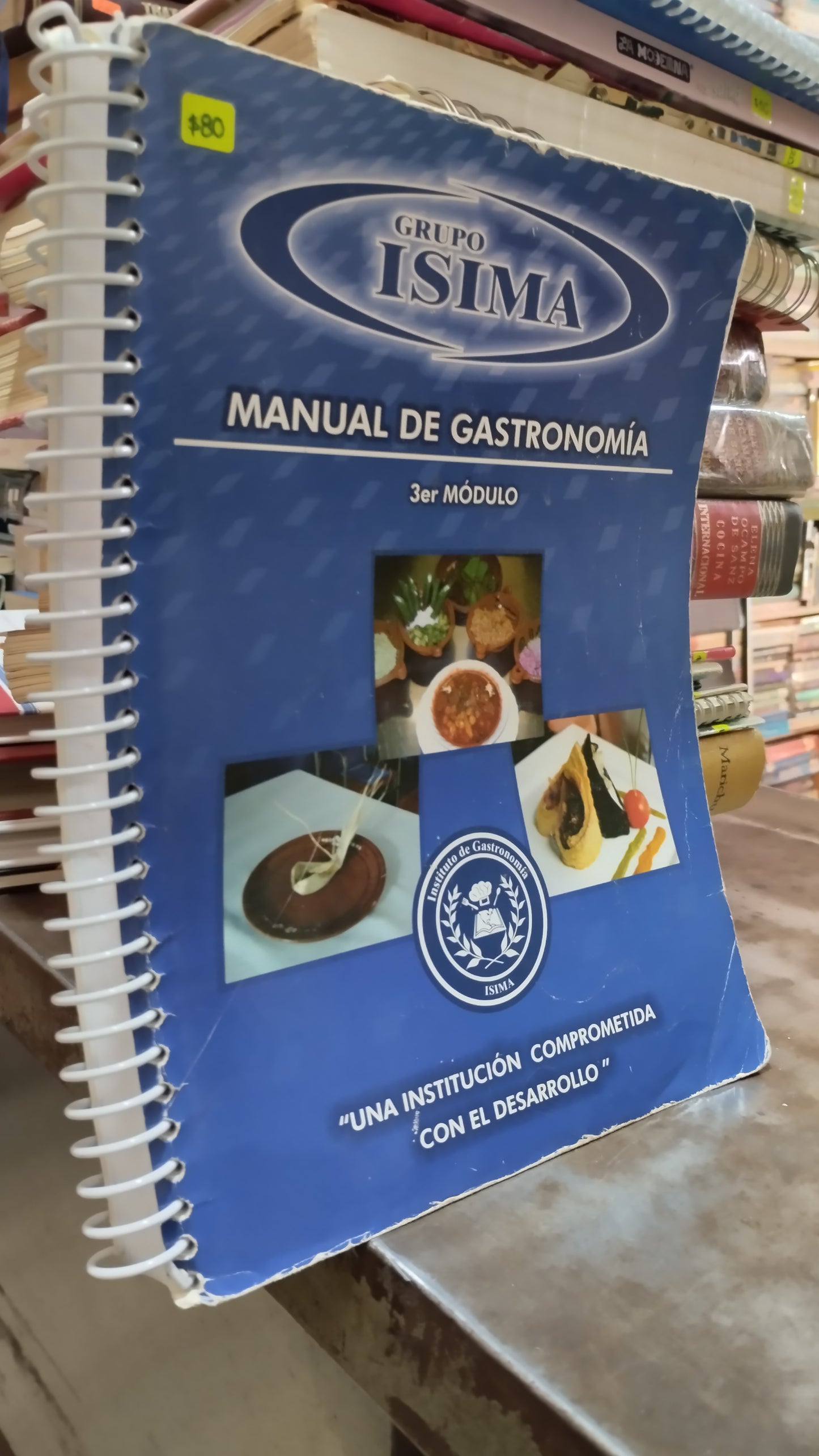 MANUAL DE GASTRONOMIA LIBRO USADO COCINA ALDAMA