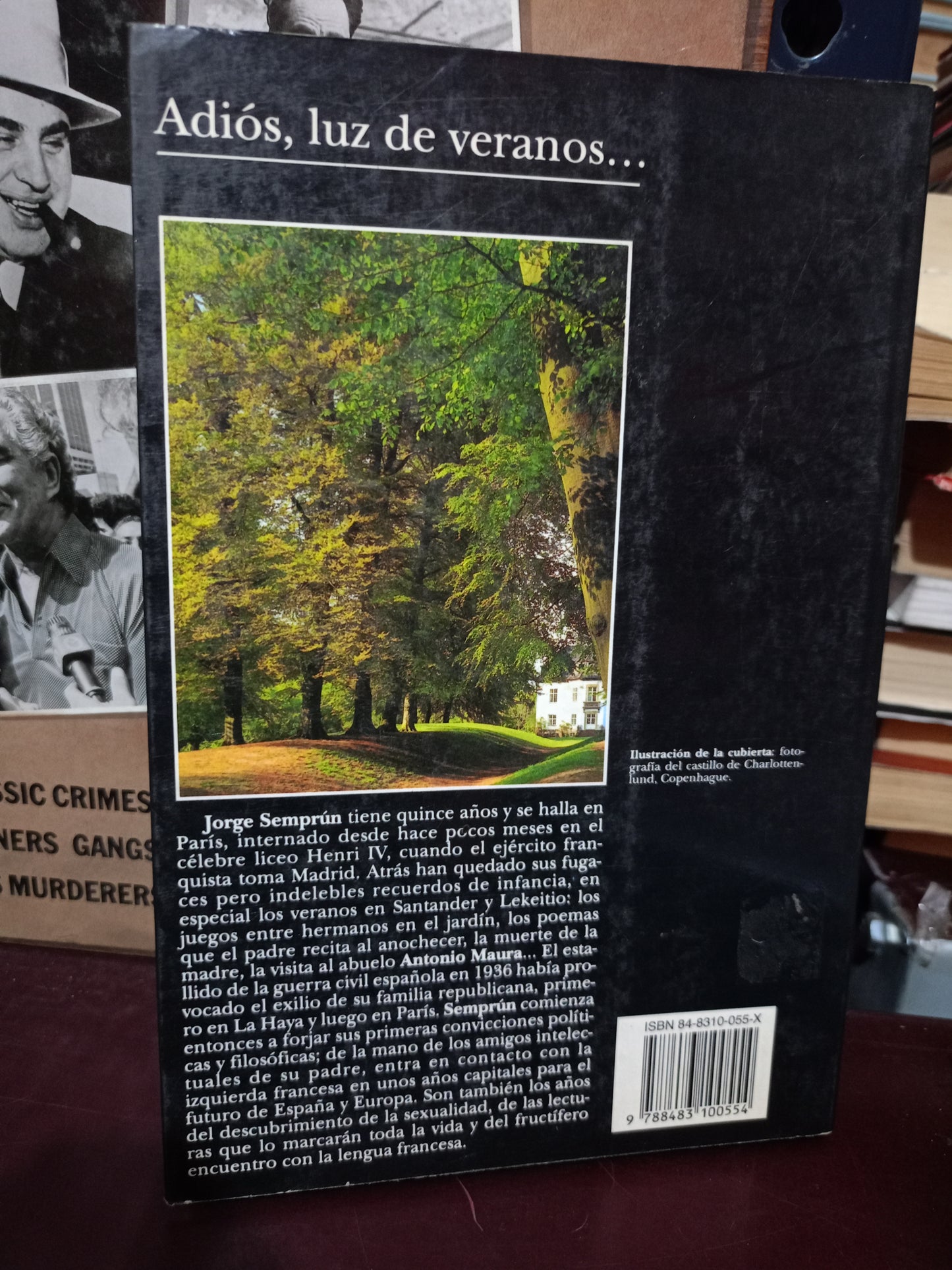 ADIOS LUZ DE VERANOS JORGE SEMPRÚN USADO NOVELA LITERARIO 305