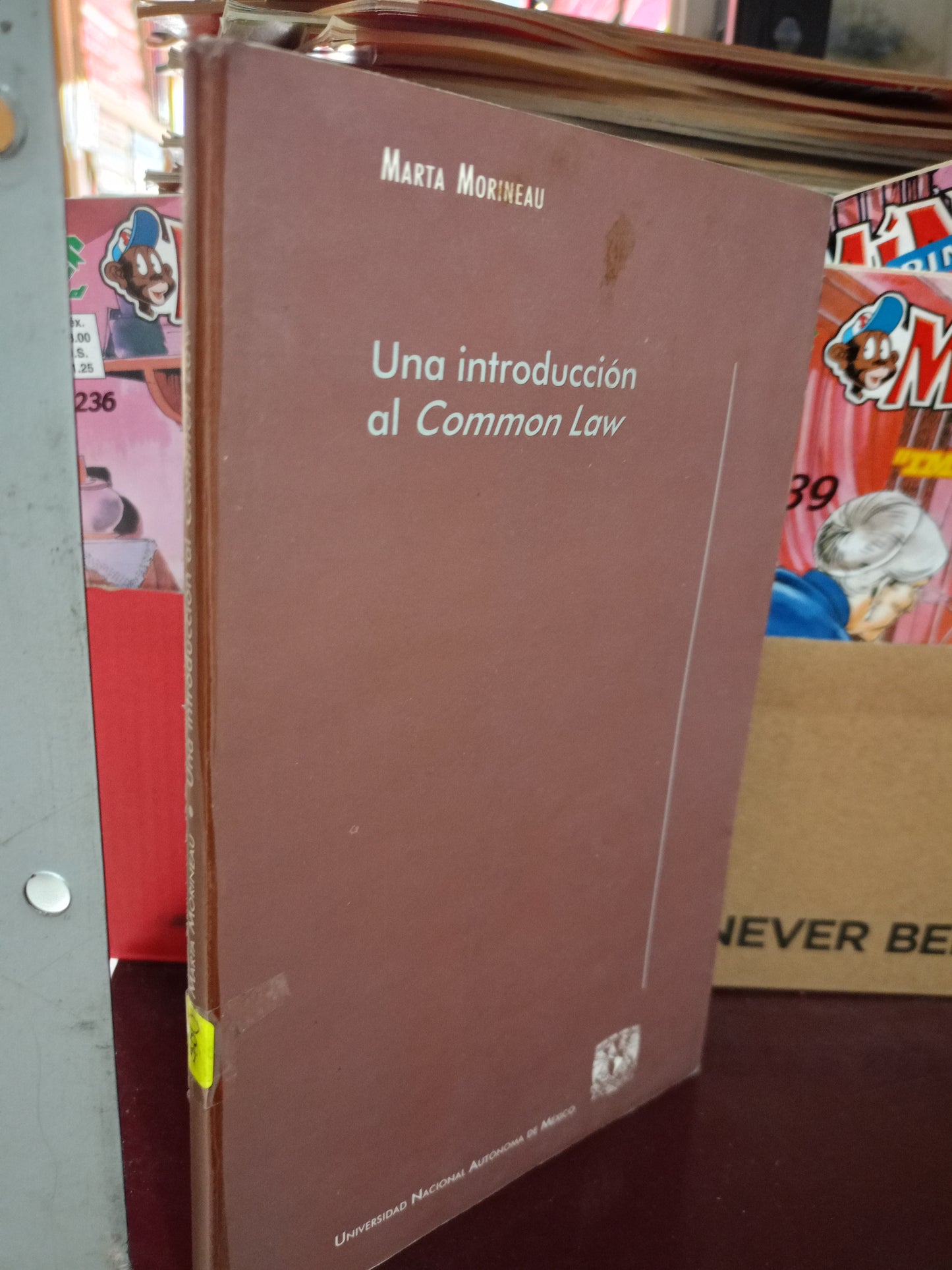 UNA INTRODUCCION AL COMMON LAW POR MARTA MORINEAU USADO DERECHO LITERARIO 305