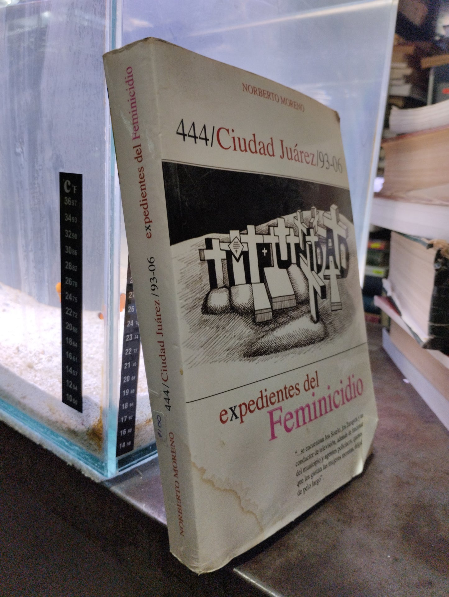 444 CIUDAD JUAREZ 93-06 EXPEDIENTES FEMINICIDIO USADO POLITICA ALDAMA