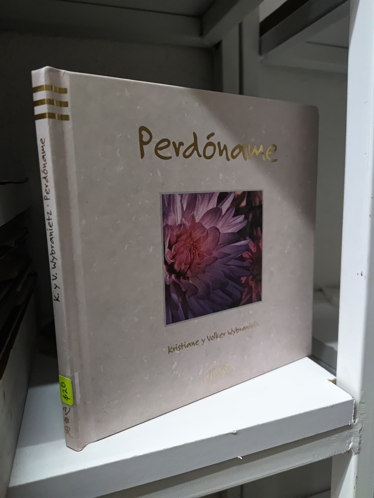 PERDONAME POR KRISTIANE WYBRANIETZ USADO POESIA JUAREZ 515