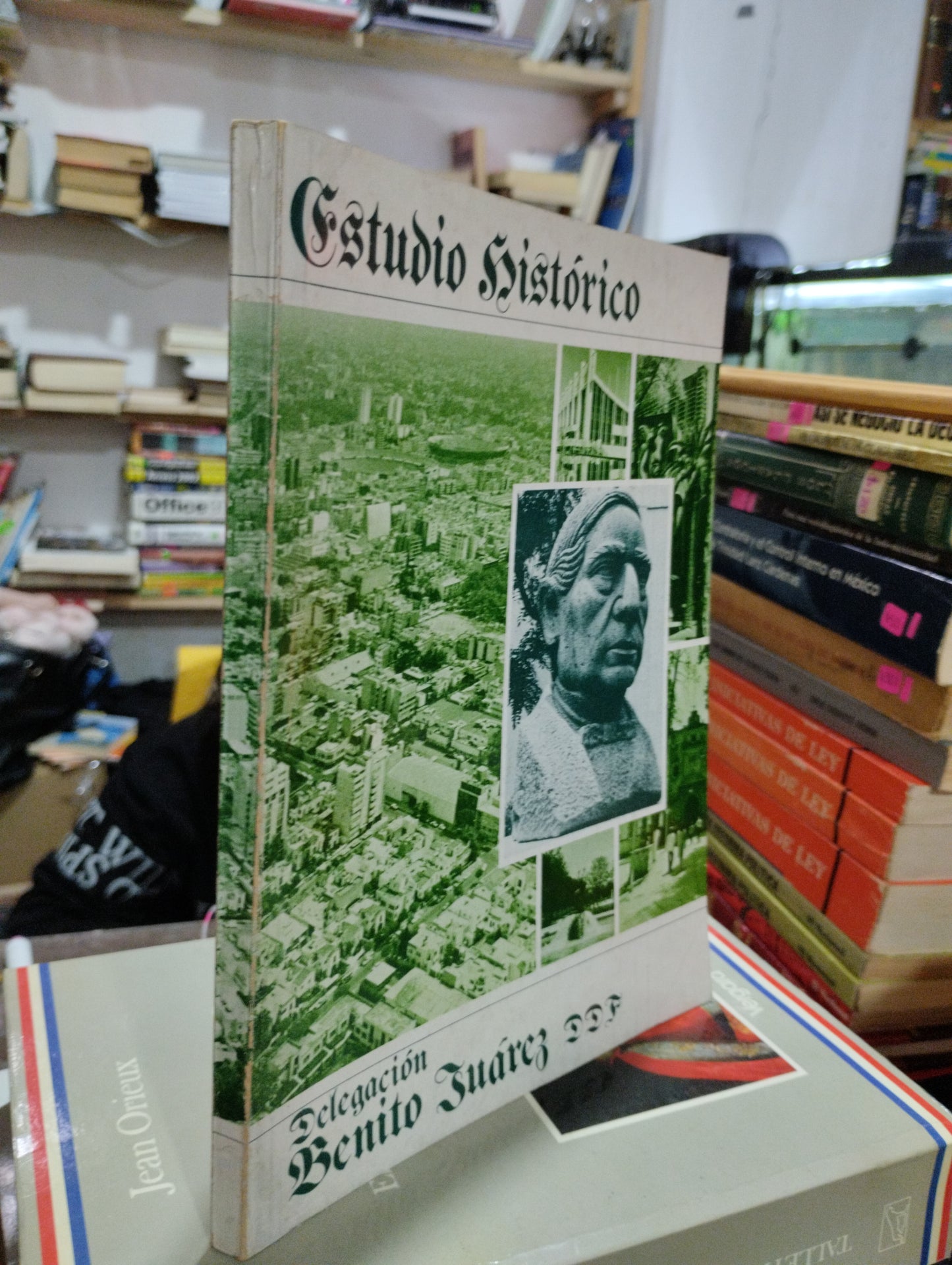 ESTUDIO HISTORICO DELEGACION BENITO JUAREZ USADO HISTORIA ALDAMA