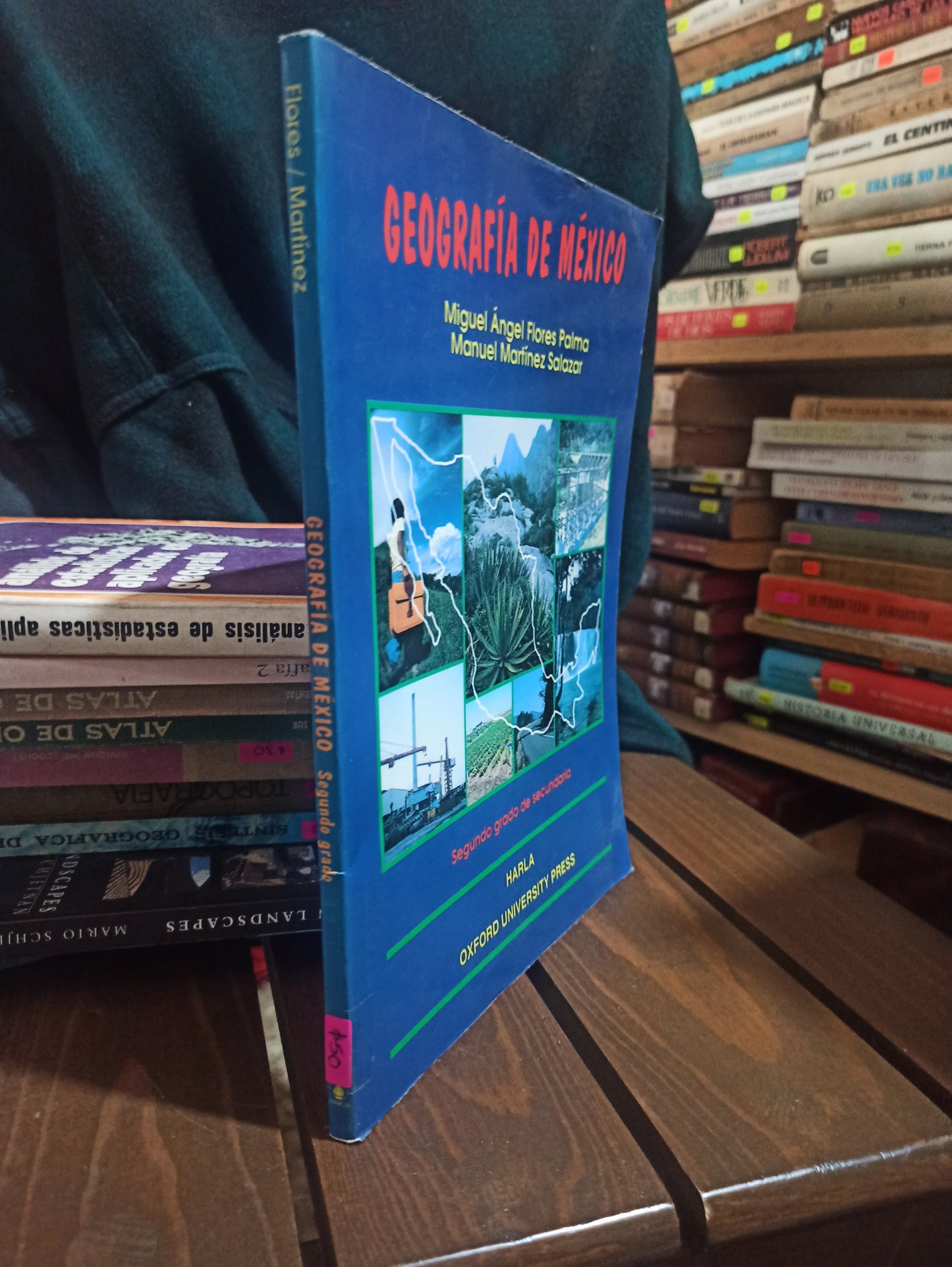 GEOGRAFÍA DE MÉXICO POR MIGUEL ANGEL FLORES PALMA USADO GEOGRAFÍA ALDAMA