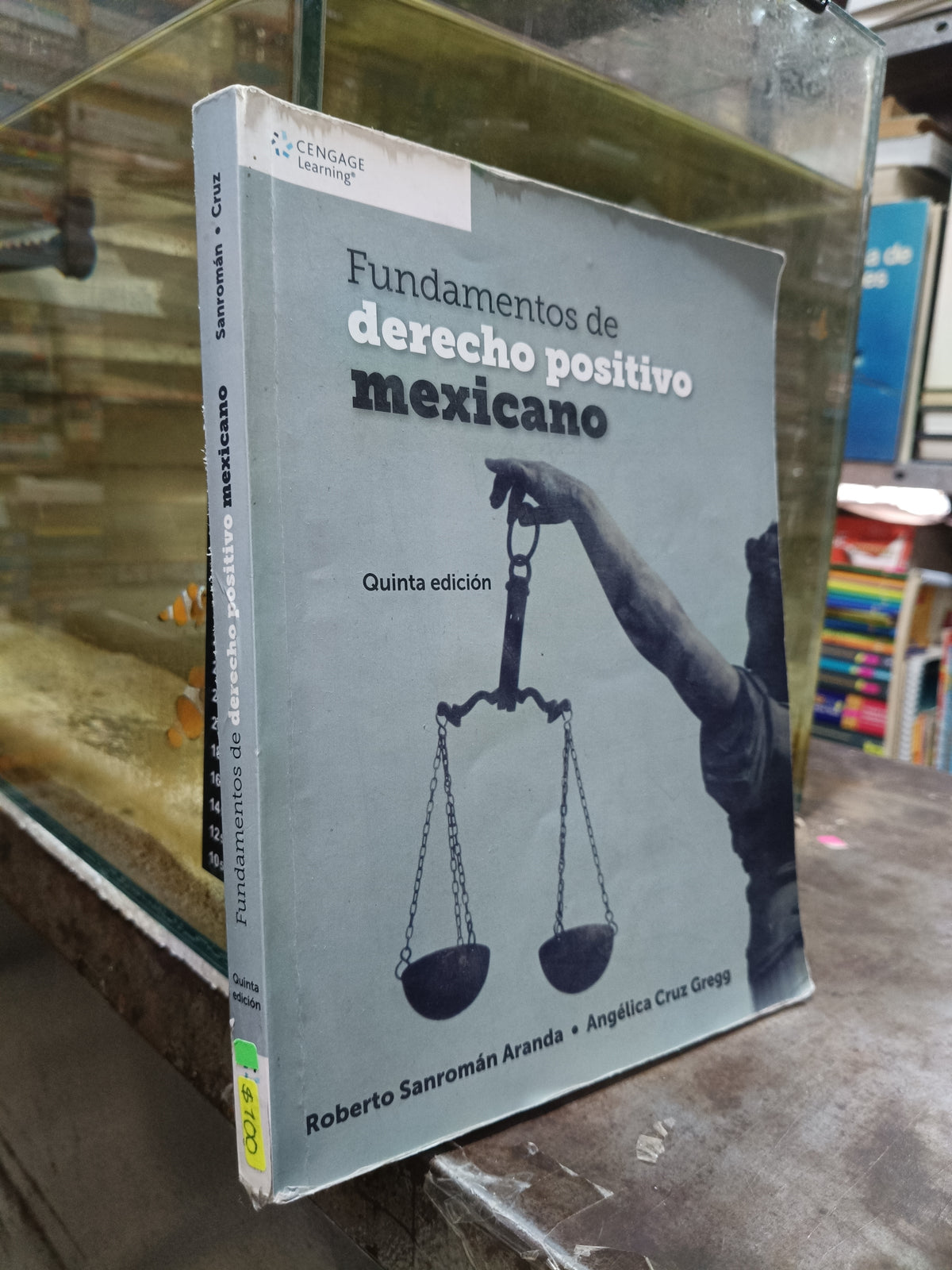 FUNDAMENTOS DE DERECHO POSITIVO MEXICANO POR ROBERTO SANROMAN ARANDA Y ANGÉLICA CRUZ GREGG USADO DERECHO ALDAMA