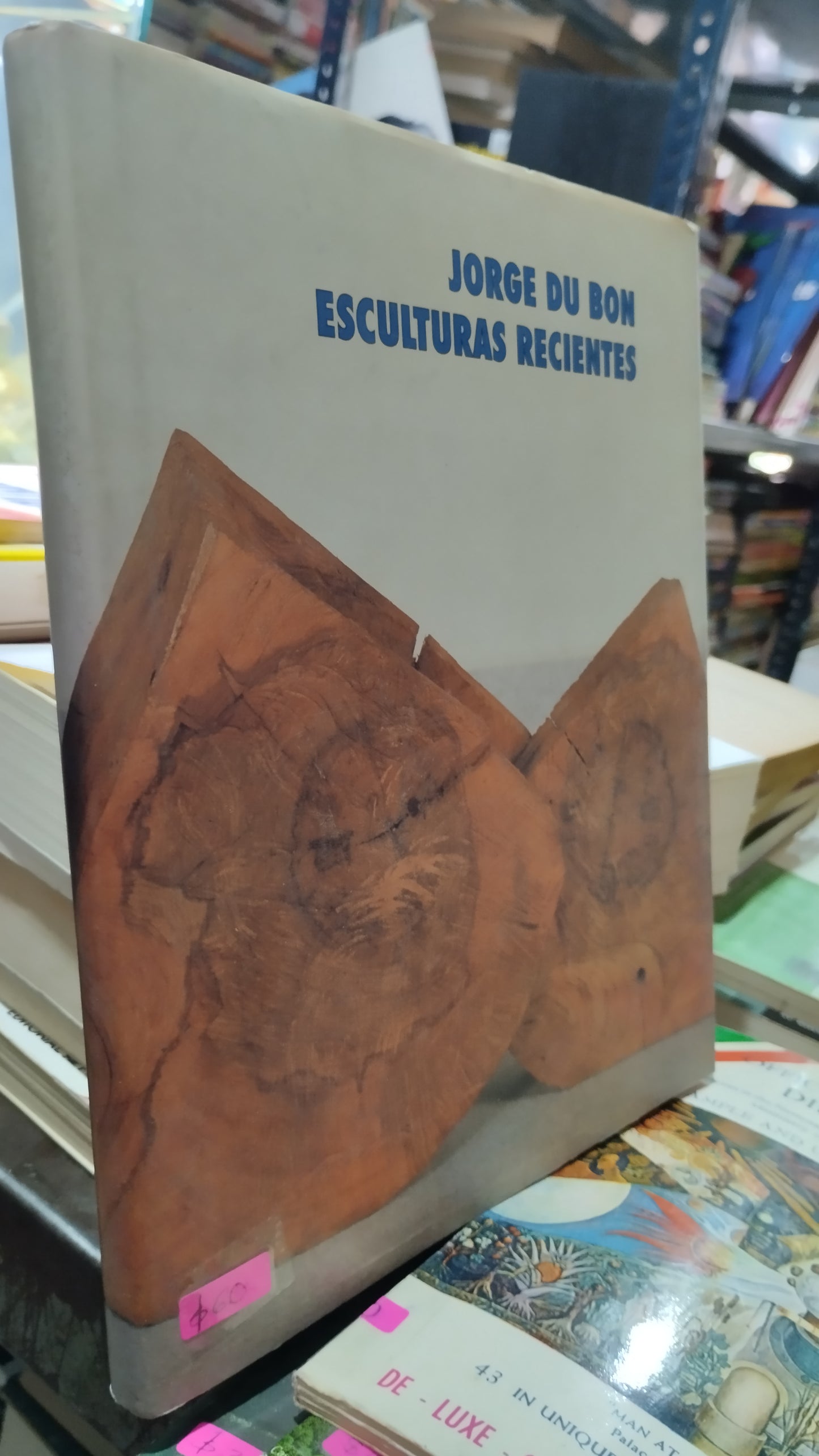 JORGE DU BON ESCULTURAS RECIENTES LIBRO USADO ARTE ALDAMA
