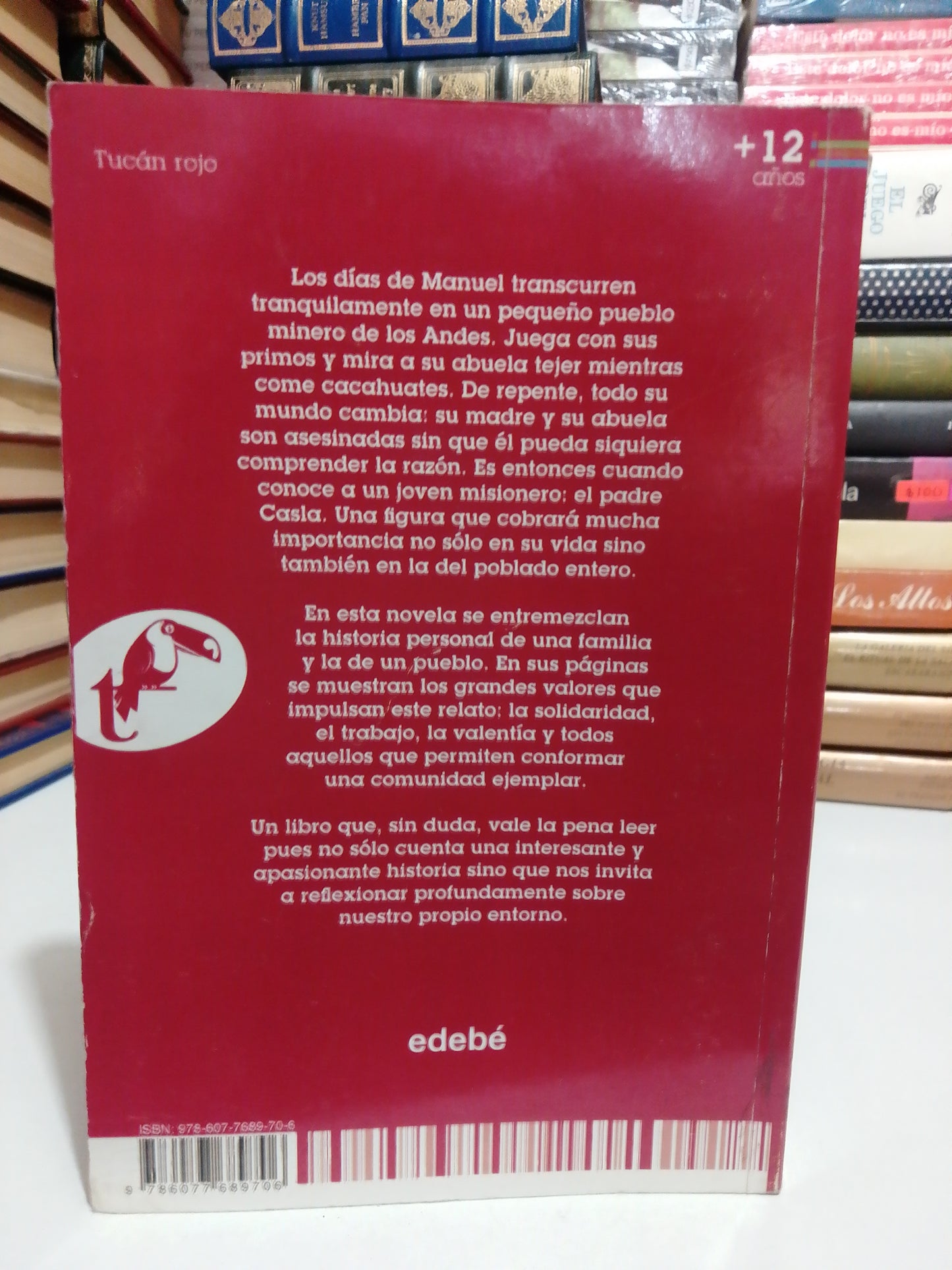 EL TUNEL DEL VIENTO POR JUAN KRUZ IGERABIDE USADO INFANTIL JUAREZ