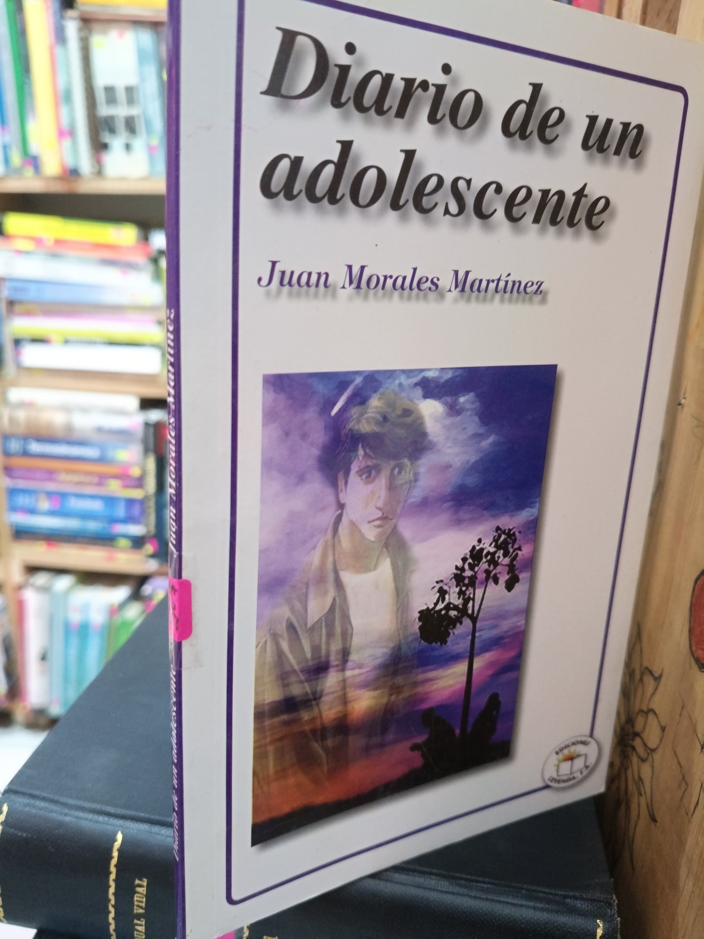 DIARIO DE UN ADOLESCENTE JUAN MORALES MARTINEZ USADO NOVELA LITERARIO 305