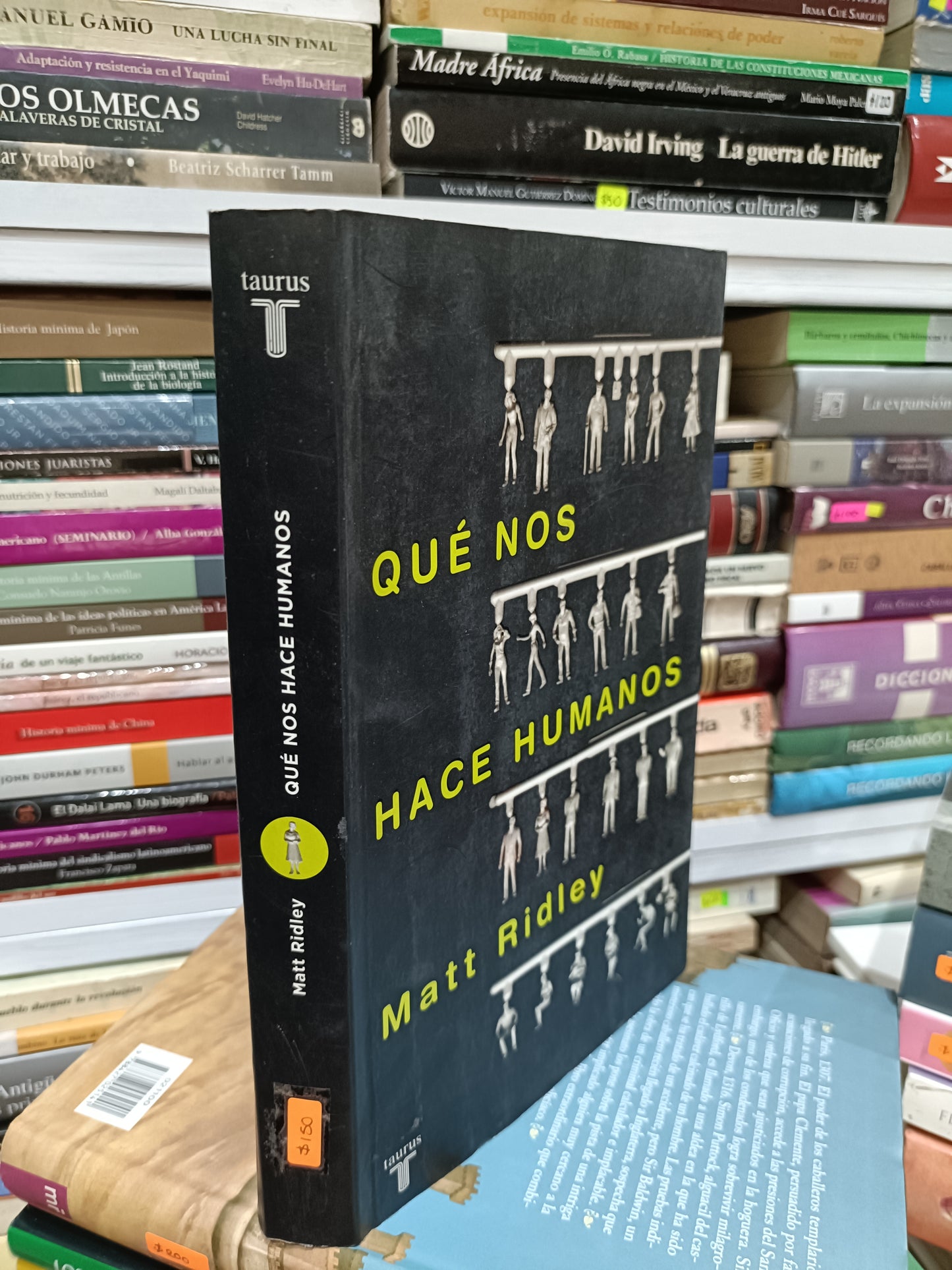 QUE NOS HACEMOS HUMANOS POR MATT RIDLEY USADOS NOVELAS JUAREZ 515