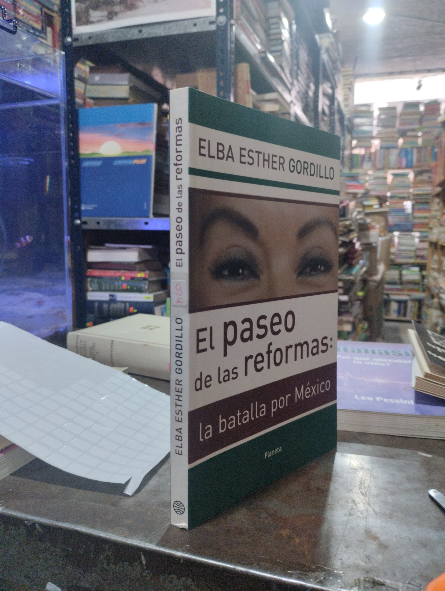 PASEO DE LAS REFORMAS POR ELBA ESTHER GORDILLO USADO POLITICA ALDAMA