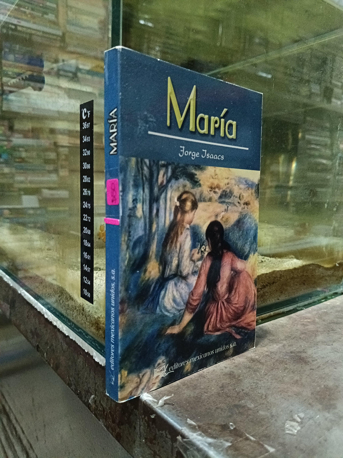MARIA POR JORGE ISAACS USADO NOVELA ALDAMA