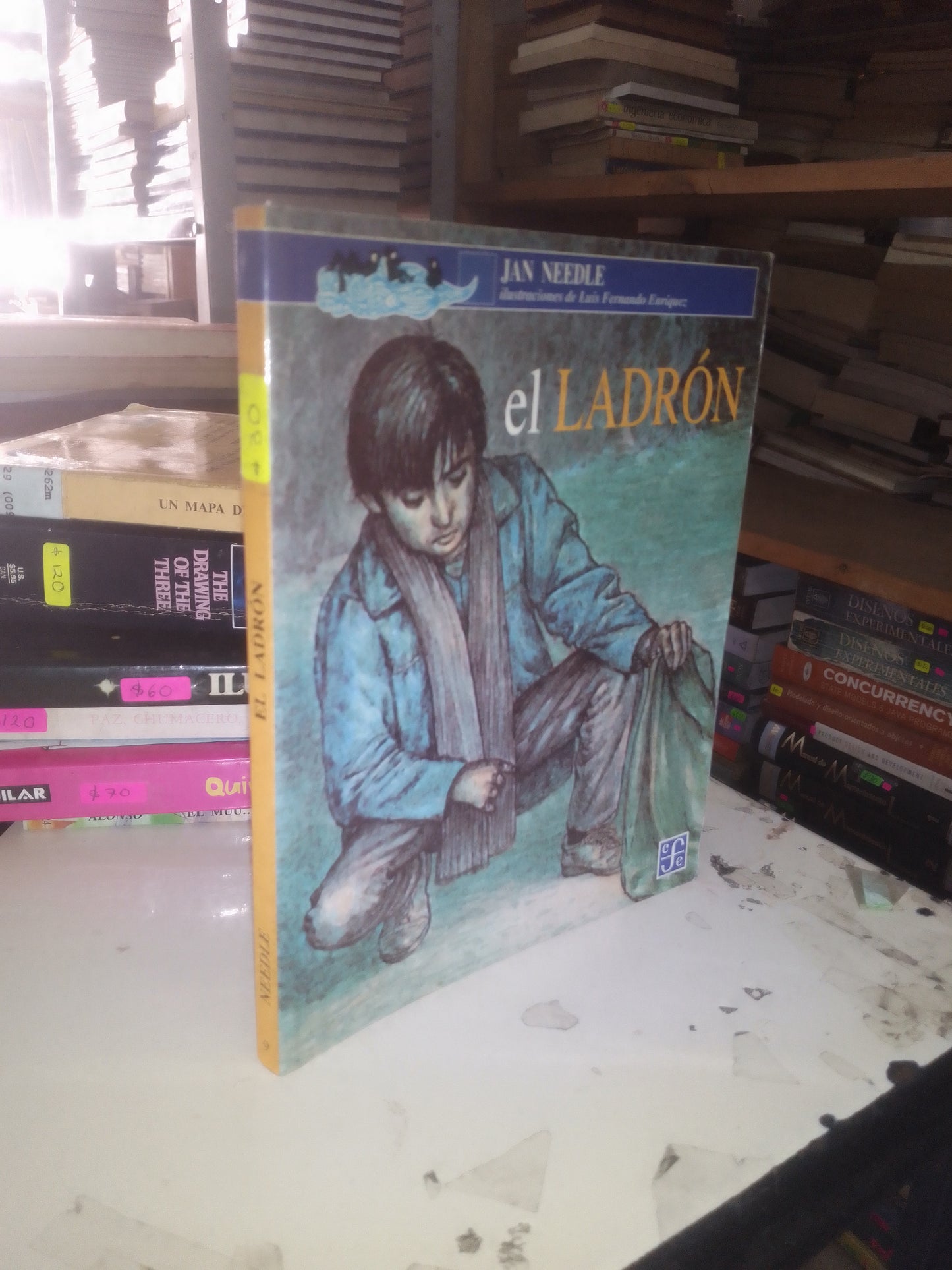 EL LADRÓN POR JAN NEEDLE USADO INFANTIL LITERARIO 207