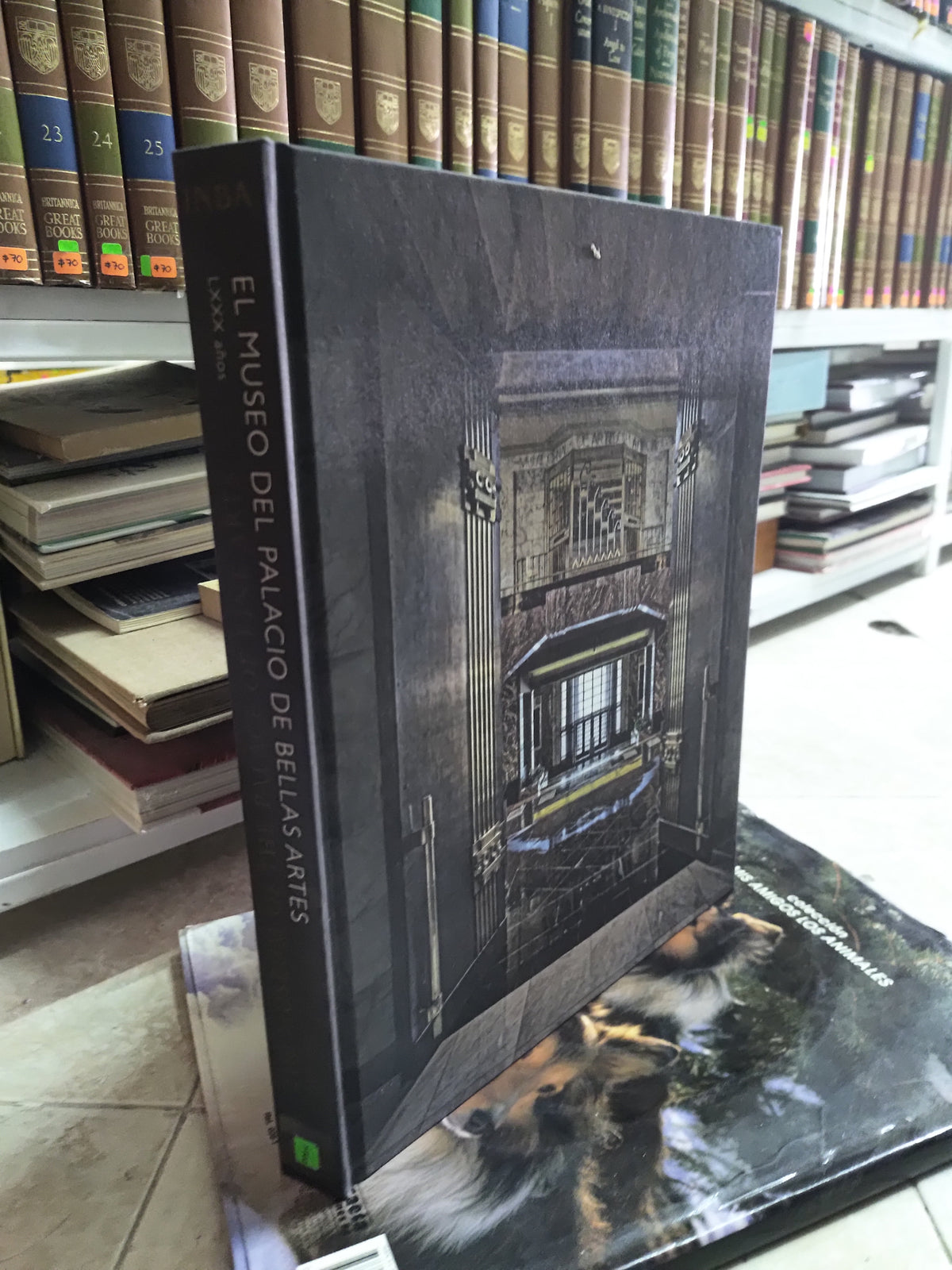 EL MUSEO DEL PALACIO DE BELLAS ARTES POR EDITORIAL INBA USADO ARTES JUAREZ 515
