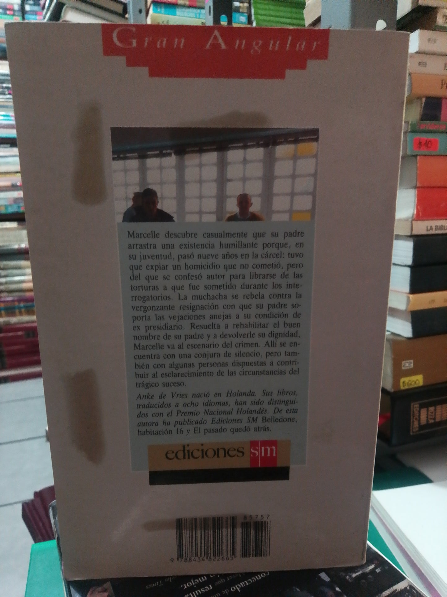 COMPLICE POR ANKE DE VRIES USADO NOVELA JUAREZ