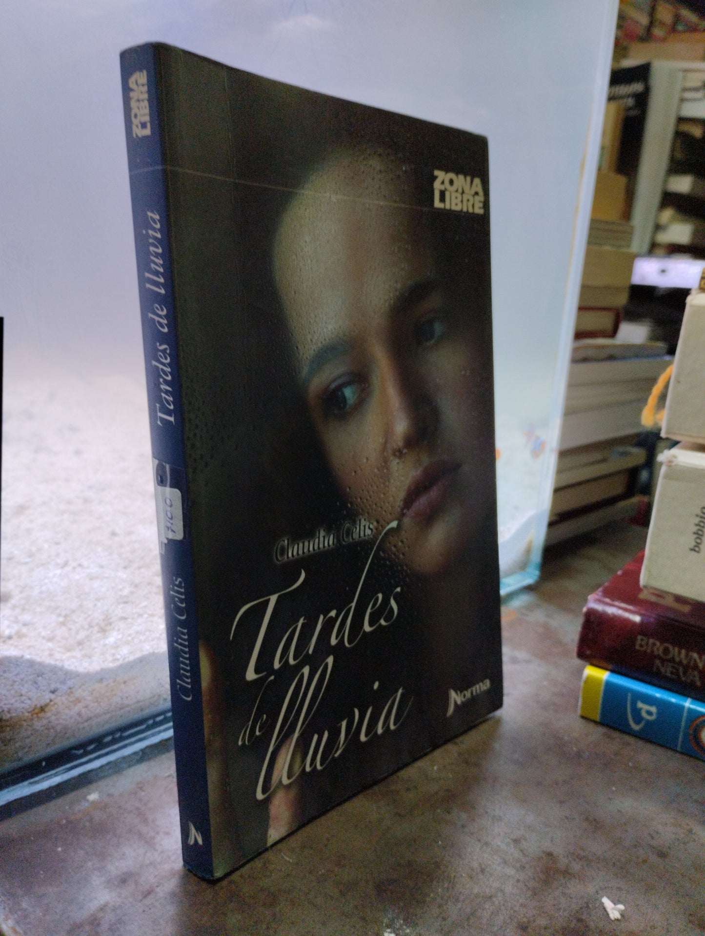 TARDES DE LLUVIA POR CLAUDIA CELIS USADO NOVELAS ALDAMA