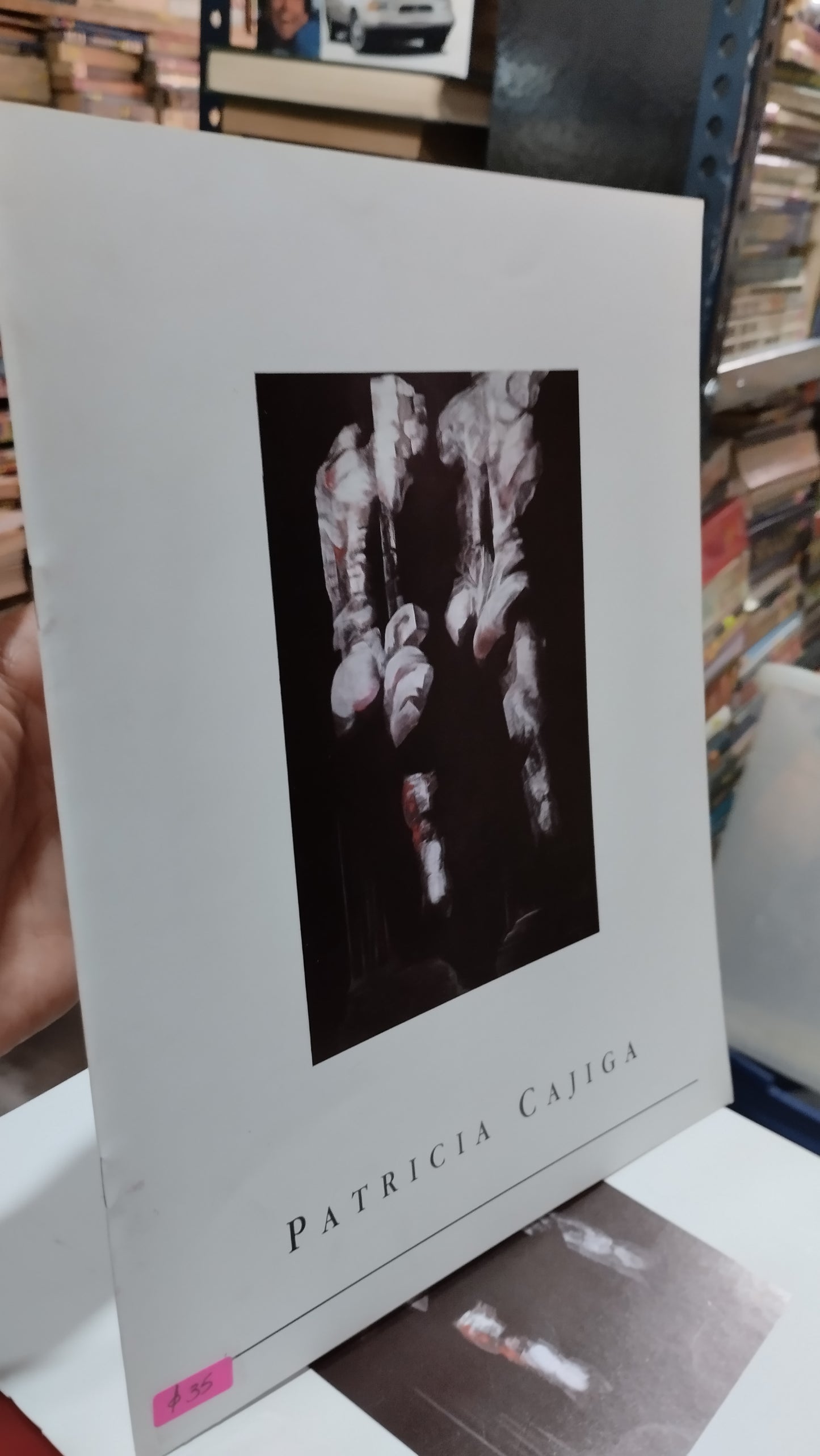 PATRICIA CAJICA LIBRO USADO ARTE ALDAMA