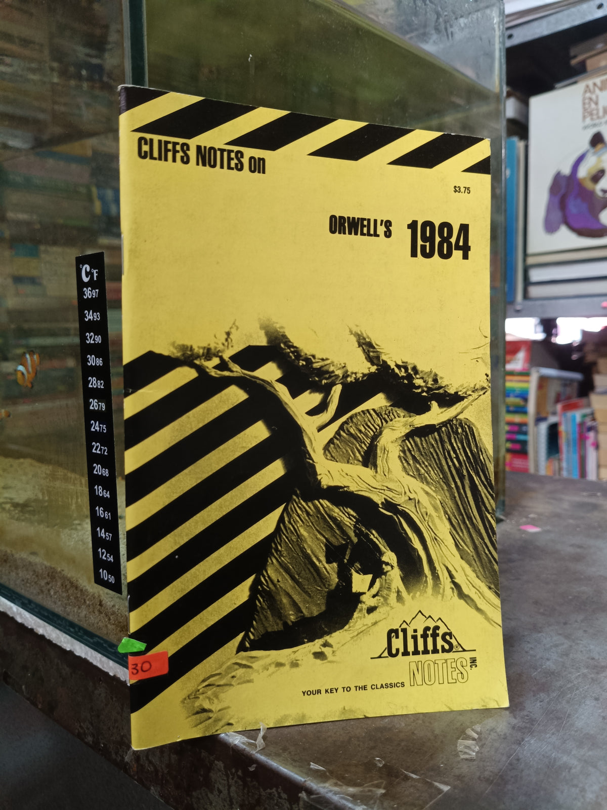 1984 POR GEORGE ORWELL USADO IDIOMAS ALDAMA