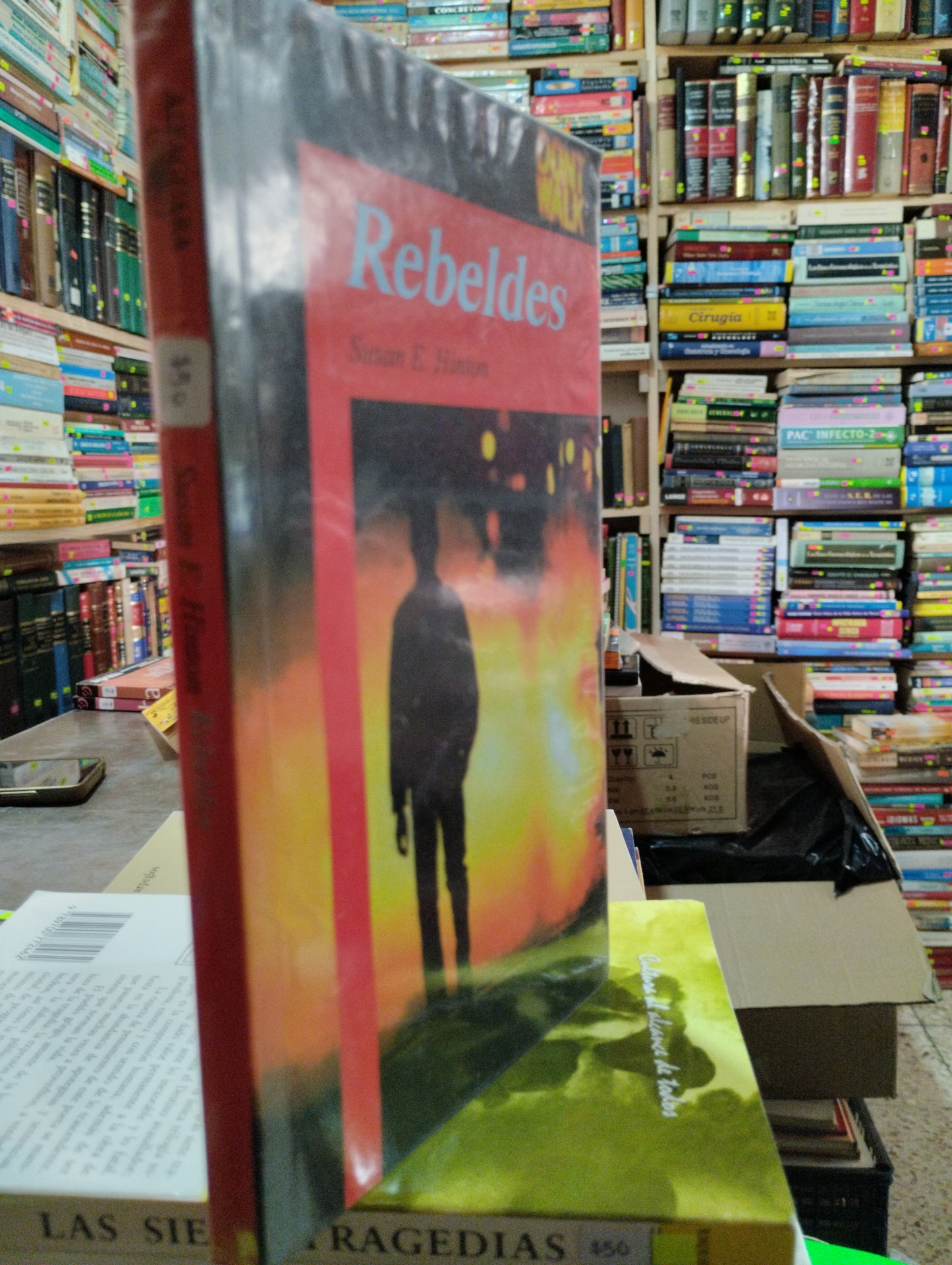REBELDES POR SUSAN E HINTON USADO NOVELAS ALDAMA