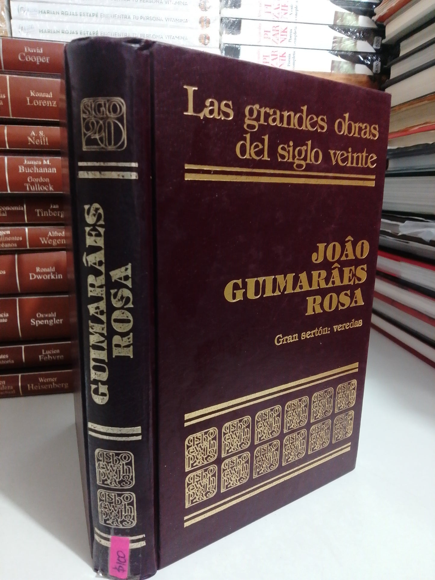 GRANDES OBRAS DEL SIGLO VEINTE POR JOAO GUIMARAES ROSA USADO NOVELA JUAREZ