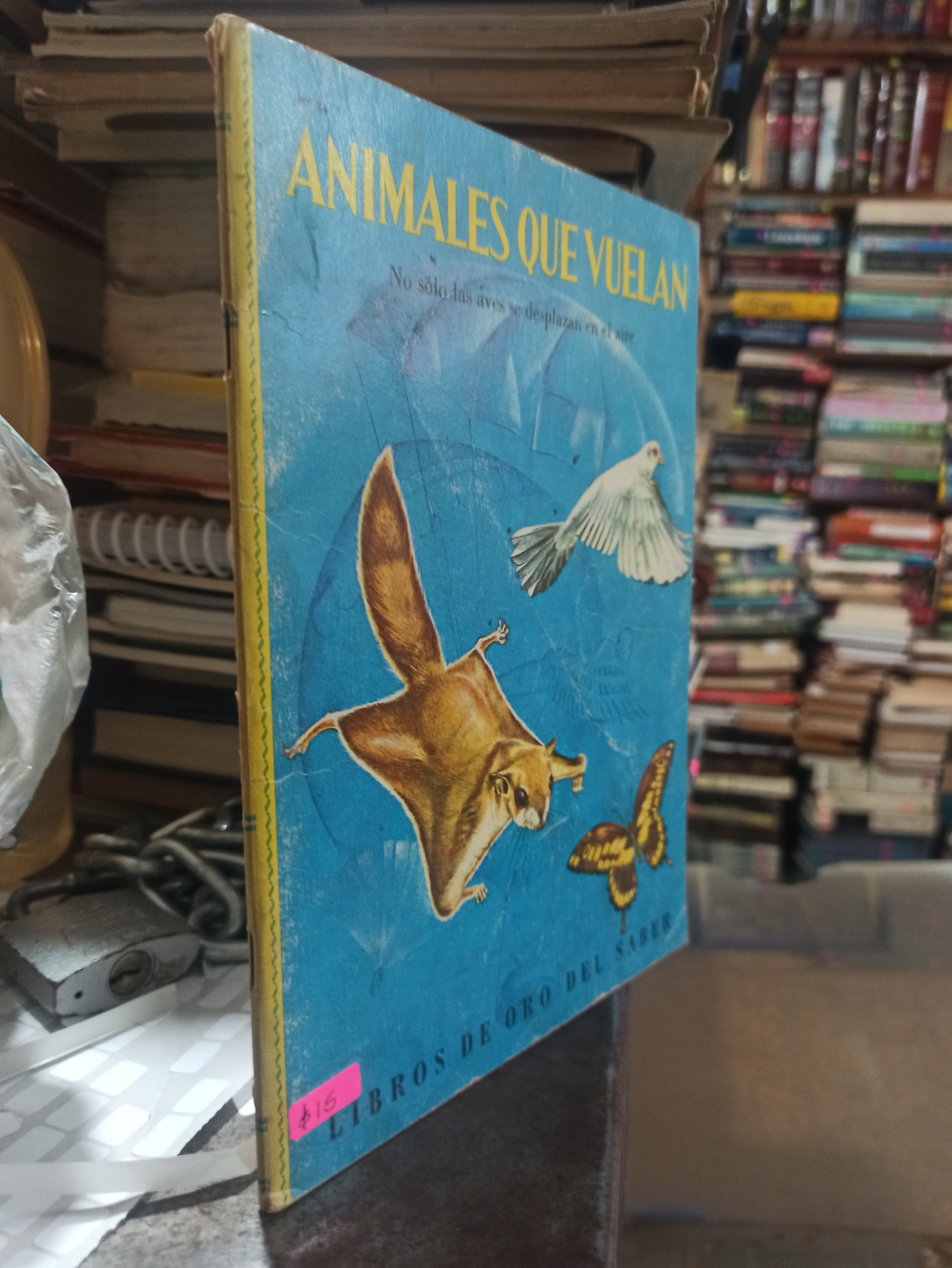 ANIMALES QUE VUELAN POR GEORGE S. FITCHER USADO BIOLOGIA ALDAMA – Bazar ...