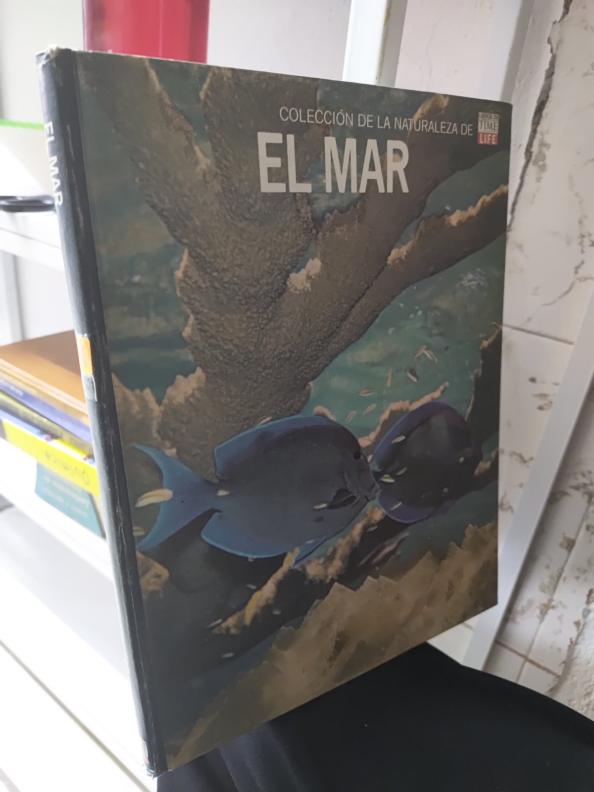 EL MAR POR EDITORIAL CULTURALES INTERNACIONALES USADO BIOLOGIA JUAREZ 515