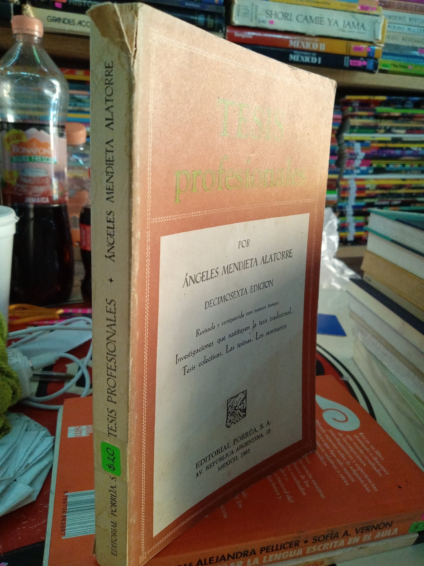 TESIS PROFESIONALES POR ANGELES MENDIETA ALATORRE USADO EDUCACION LITERARIO 207
