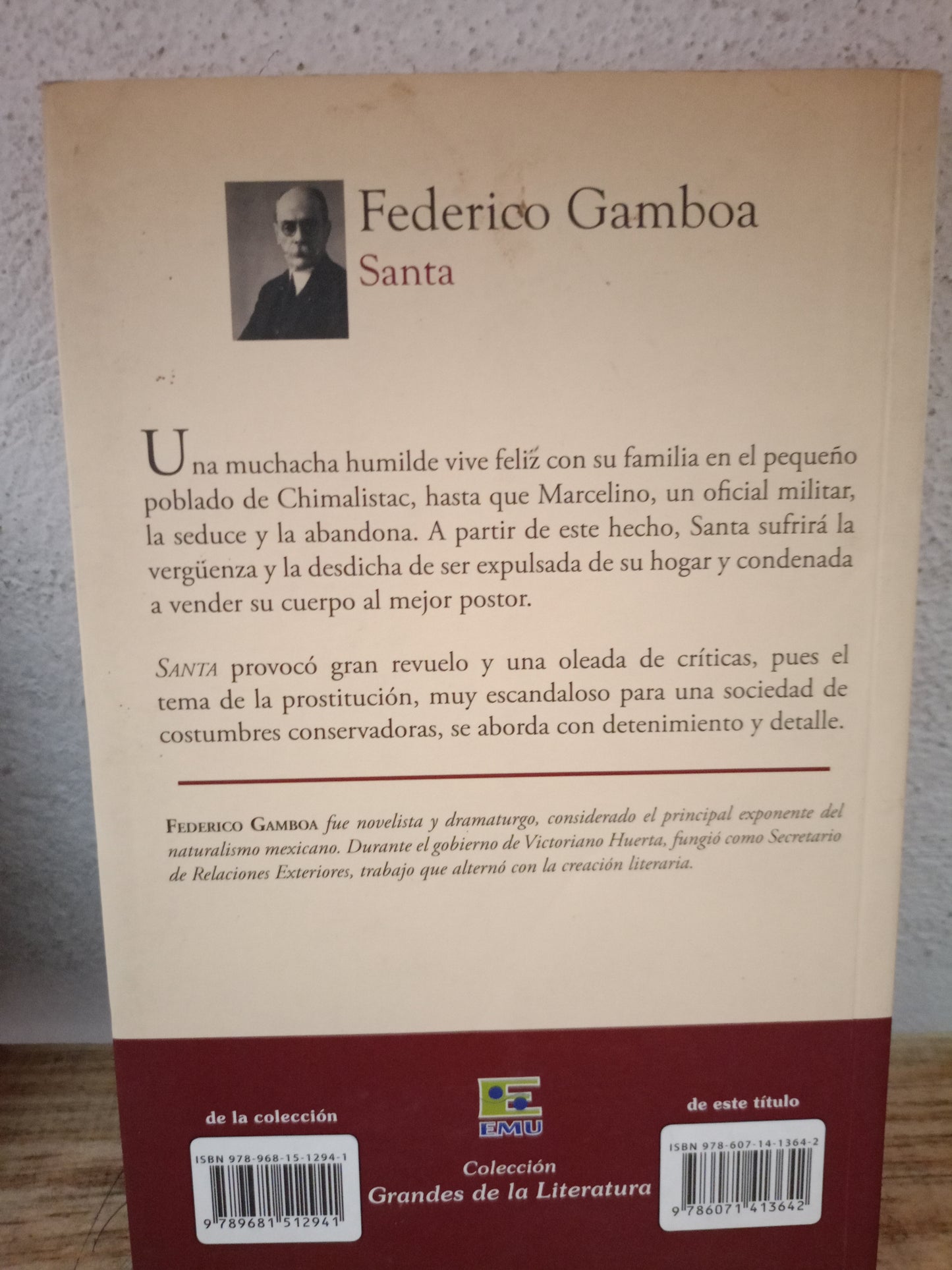 SANTA FEDERICO GAMBOA USADO NOVELA LITERARIO 305