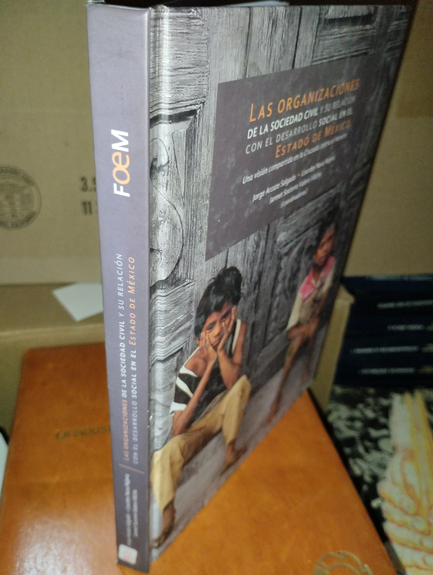 LAS ORGANIZACIONES DE LA SOCIEDAD CIVIL Y SU RELACION CON EL DESARROLLO SOCIAL EN EL ESTADO DE MEXICO VARIOS AUTORES USADO SOCIOLOGIA ALDAMA