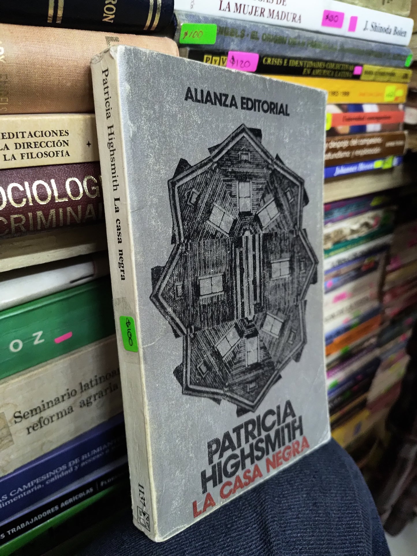 LA CASA NEGRA POR PATRICIA HIGHSMITH USADO NOVELAS LITERARIO 207