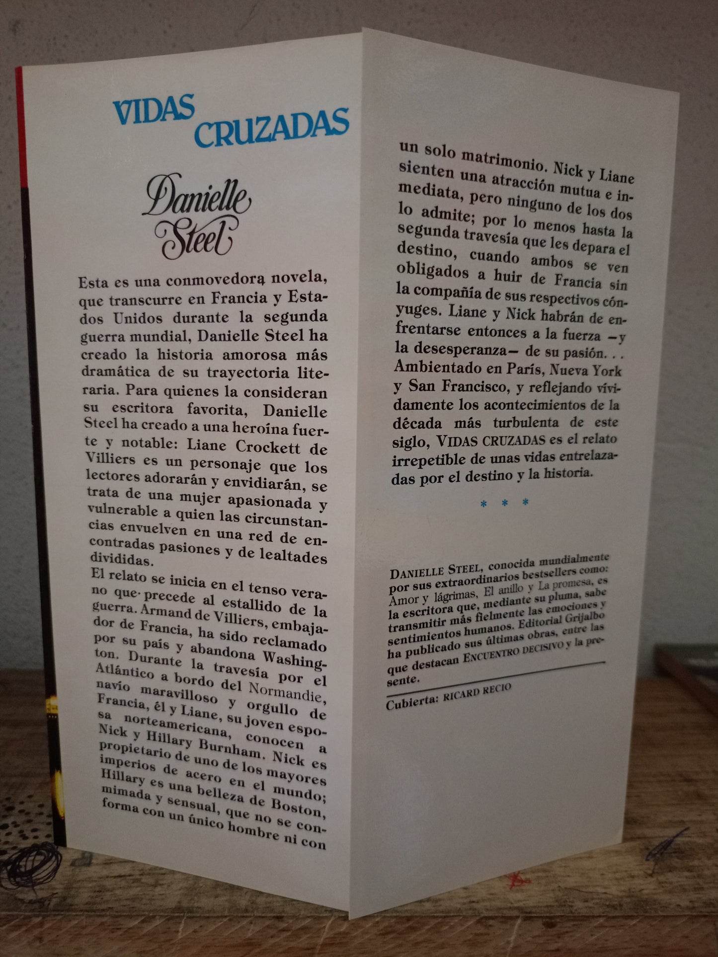 VIDAS CRUZADAS POR DANIELLE STEEL USADO NOVELA LITERARIO 305
