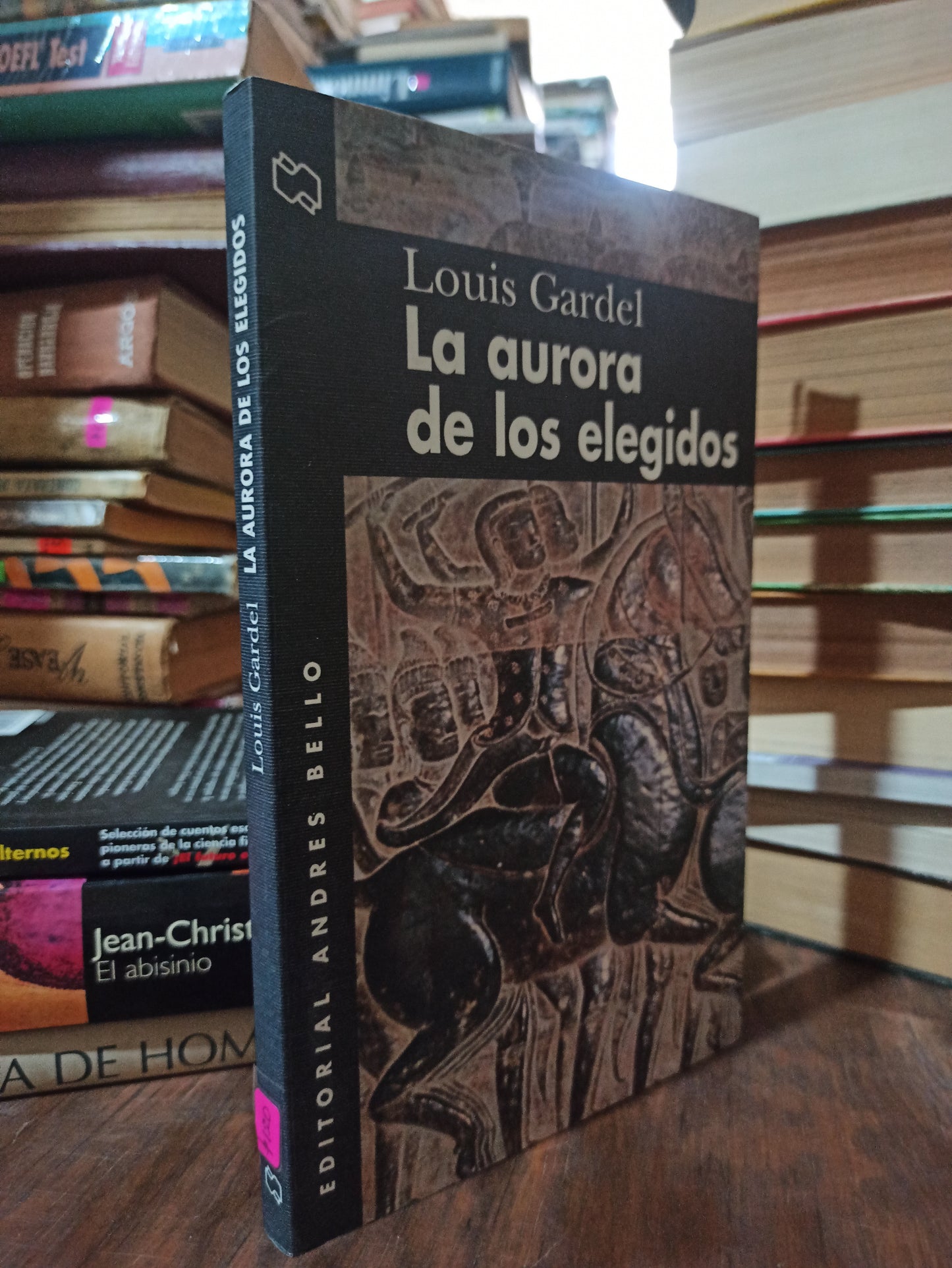 LA AURORA DE LOS ELEGIDOS POR LOUIS GARDEL USADO NOVELAS ALDAMA
