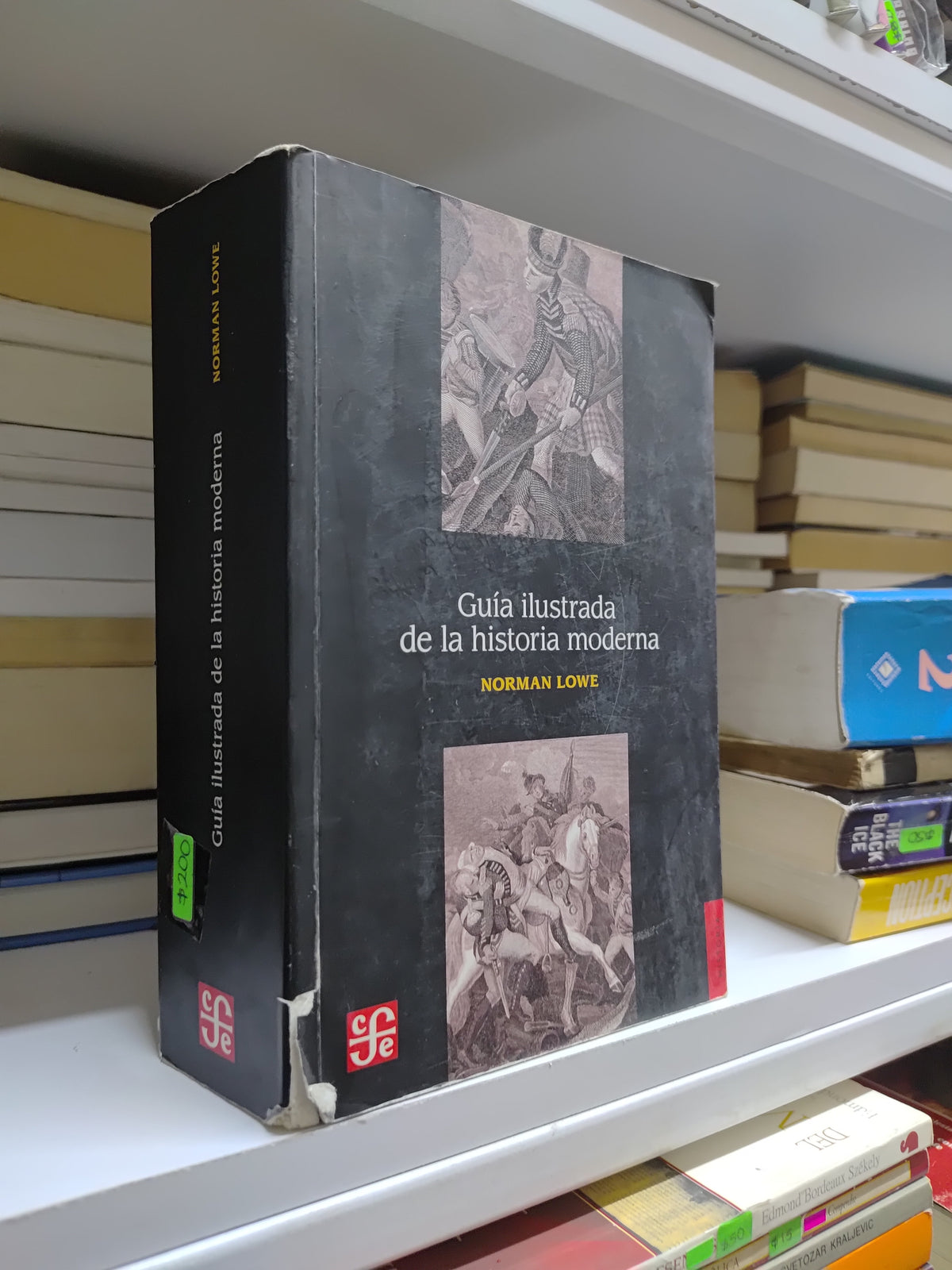 GUIA ILUSTRADA DE LA HISTORIA MODERNA POR NORMAN LEWE USADO HISTORIA JUAREZ 507