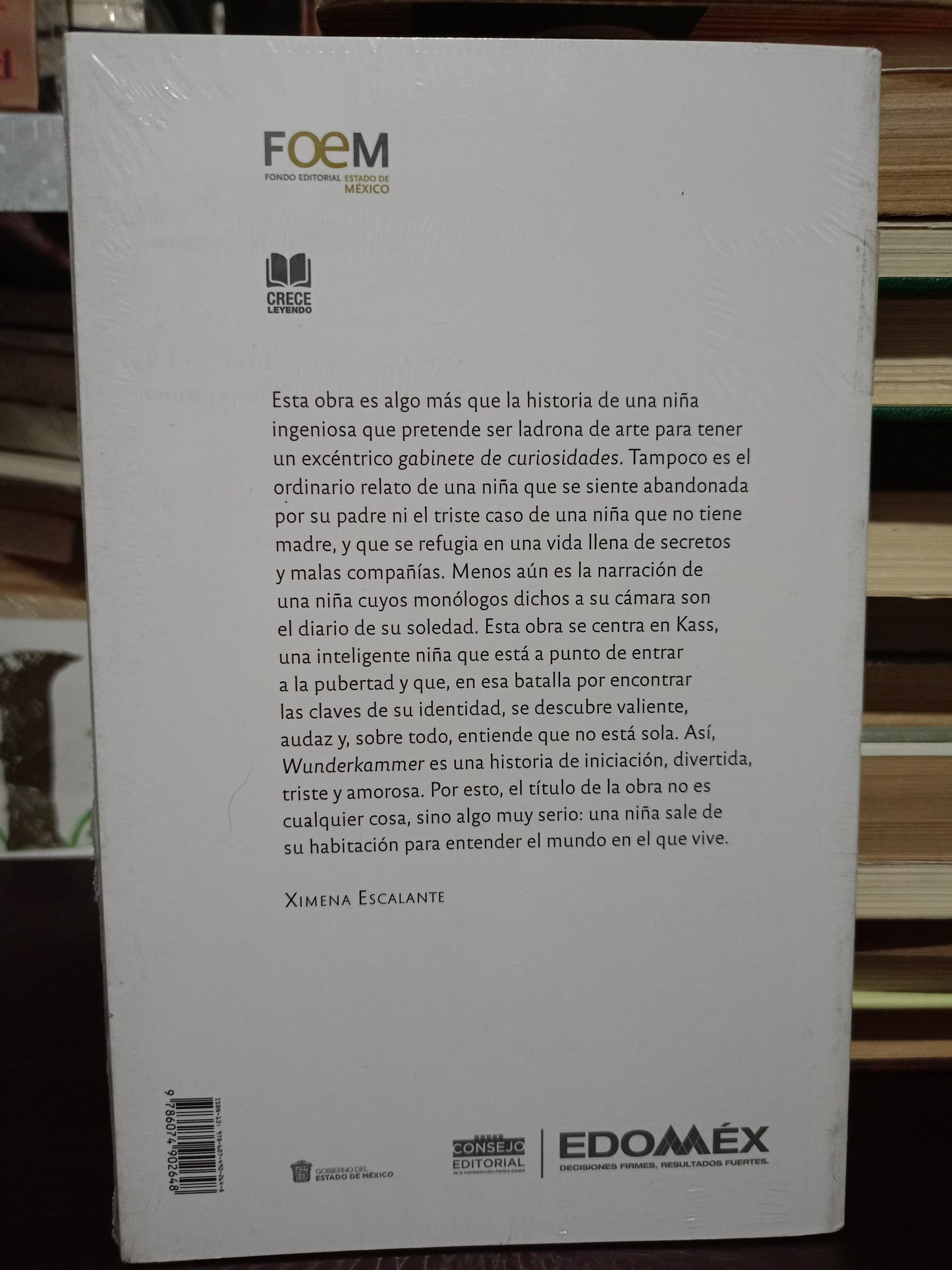 WUNDERKAMMER POR CYNTHIA FERNÁNDEZ TREJO NUEVO LIBROS NUEVOS LITERARIO 305