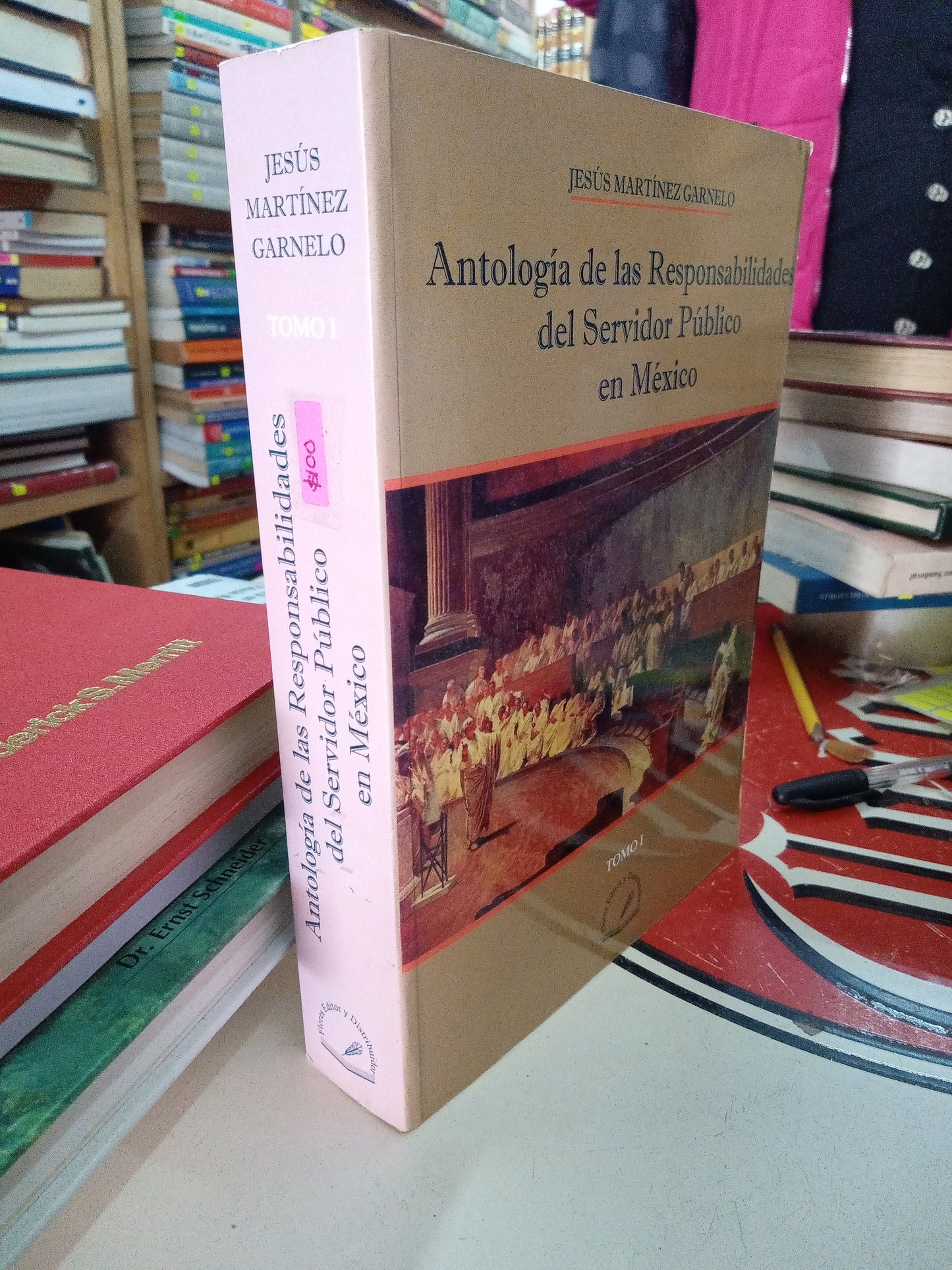 ANTOLOGIA DE LAS RESPONSABILIDADES DEL SERVIDOR PUBLICO EN MEXICO POR JESUS MARTINEZ GARNELO USADO DERECHO LITERARIO 207