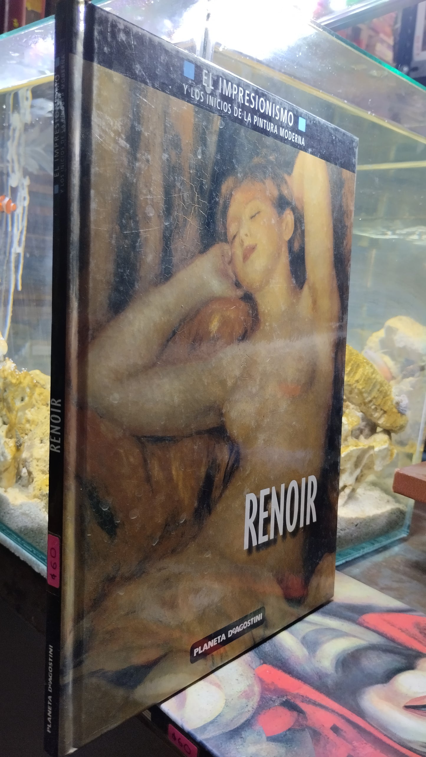 RENOIR LIBRO USADO ARTE ALDAMA