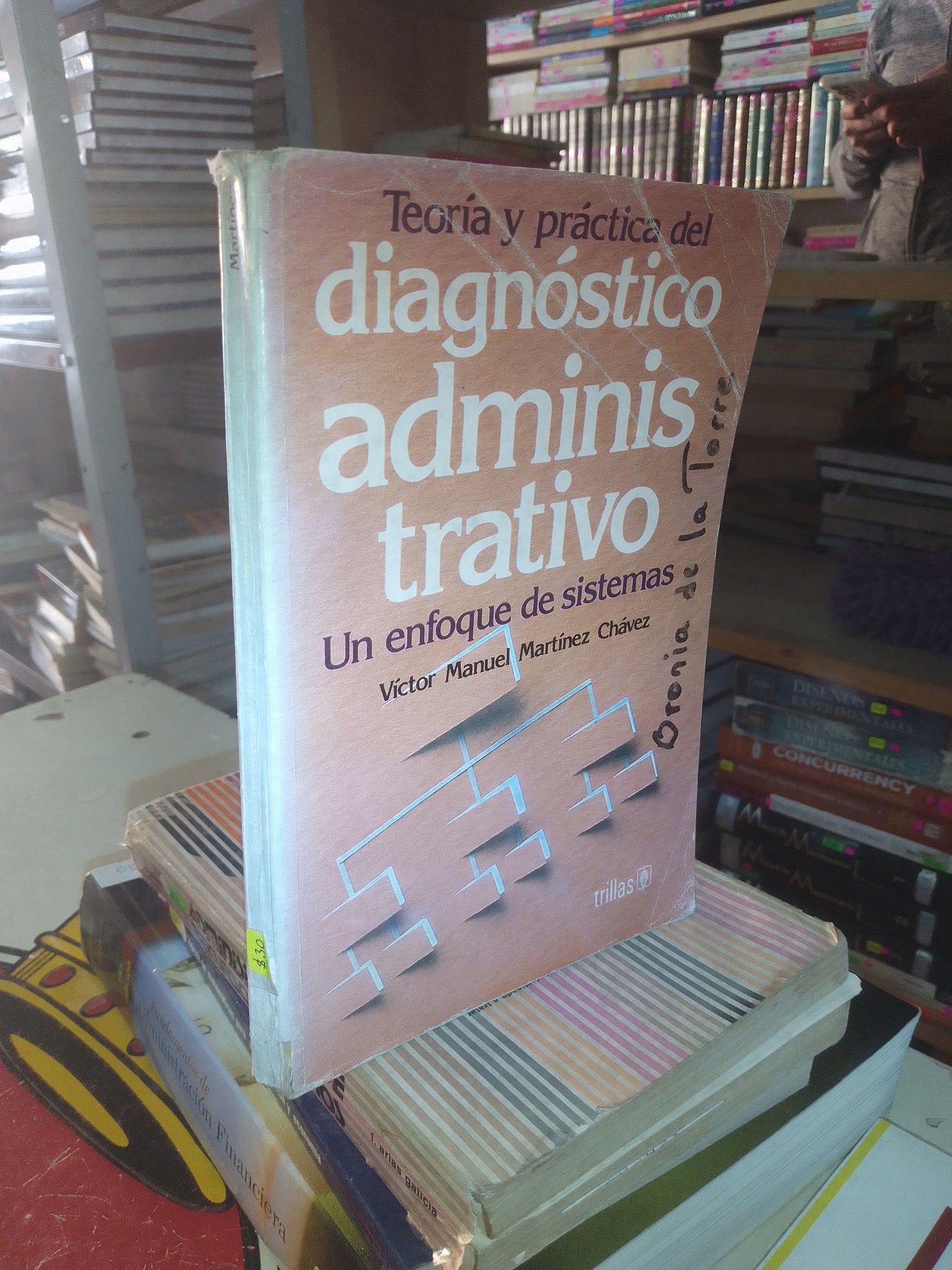 TEORÍA Y PRÁCTICA DEL DIAGNÓSTICO ADMINISTRATIVO POR VÍCTOR MANUEL MARTÍNEZ CHÁVEZ USADO ADMINISTRACIÓN LITERARIO 207