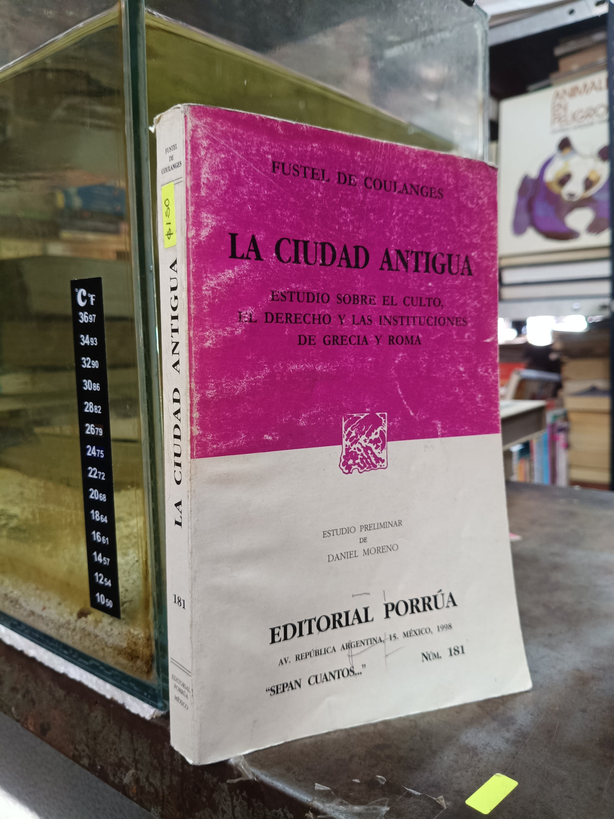 LA CIUDAD ANTIGUA POR FUSTEL DE COULANGES USADO DERECHO ALDAMA