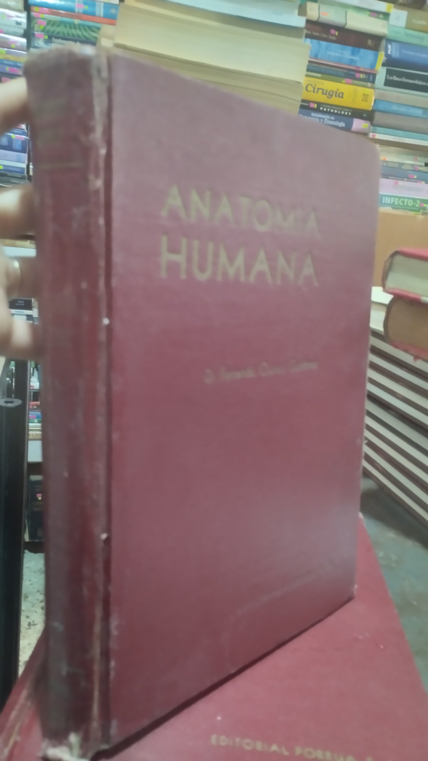 ANATOMIA HUMANA TOMO II POR FERNANDO QUIROZ LIBRO USADO SALUD ALDAMA