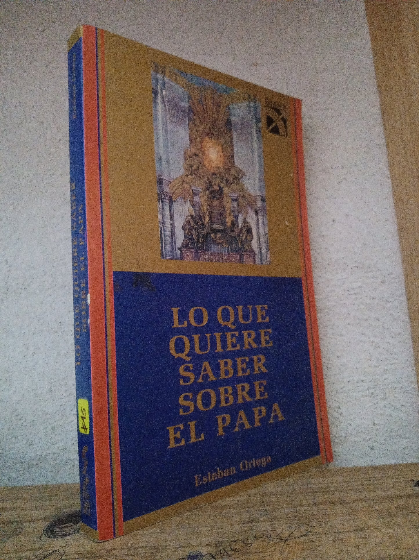 LO QUE QUIERE SABER SOBRE EL PAPA ESTEBAN ORTEGA USADO RELIGION LITERARIO 305